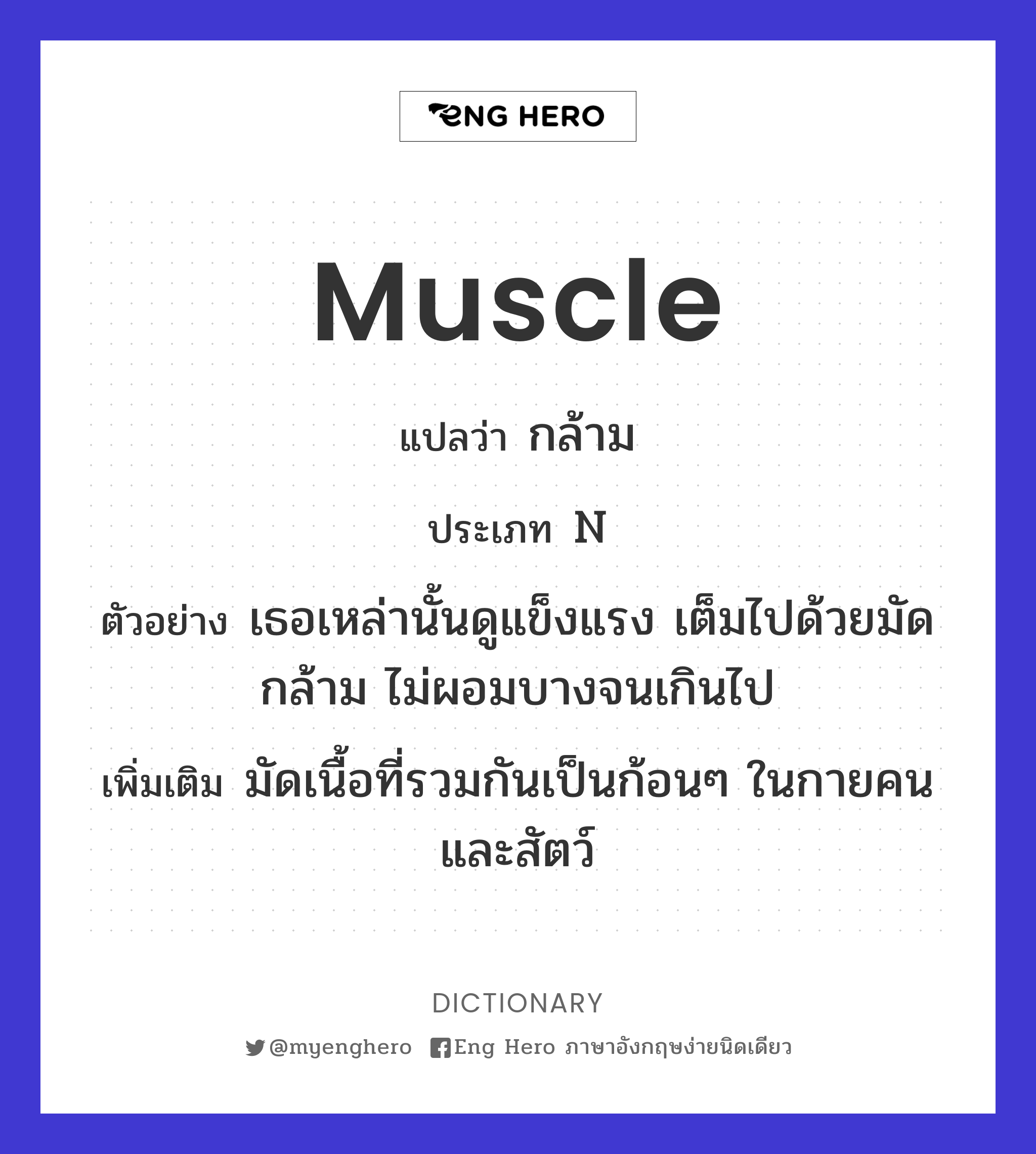 muscle
