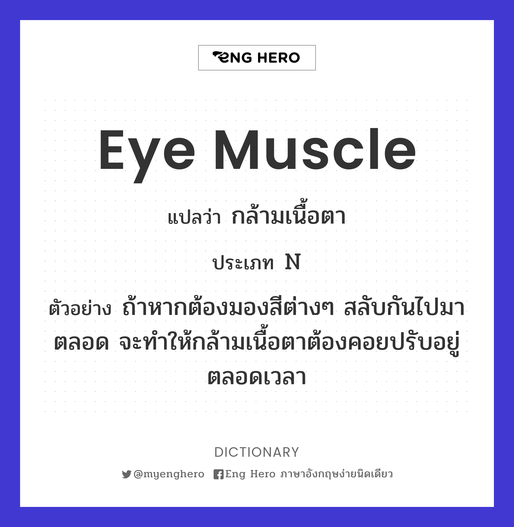 eye muscle