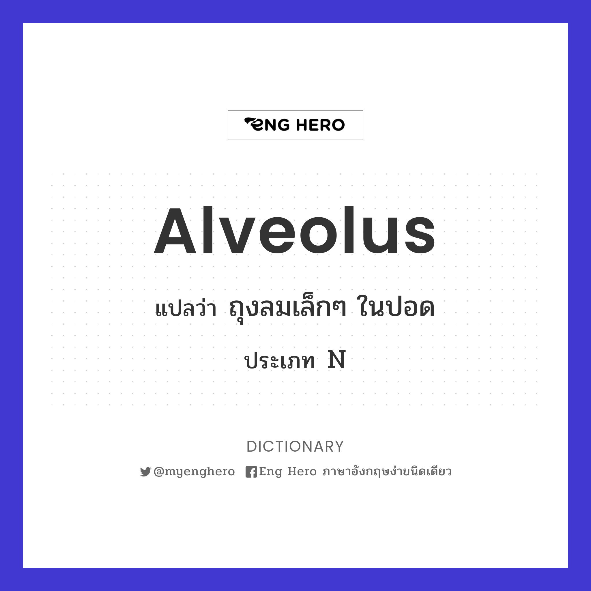 alveolus