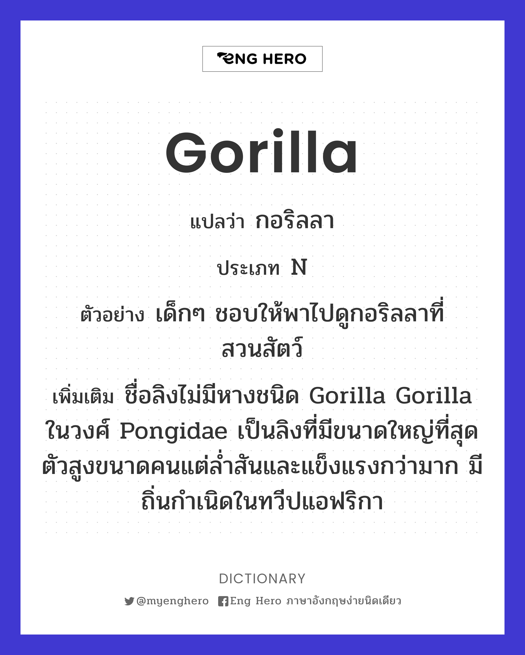 gorilla