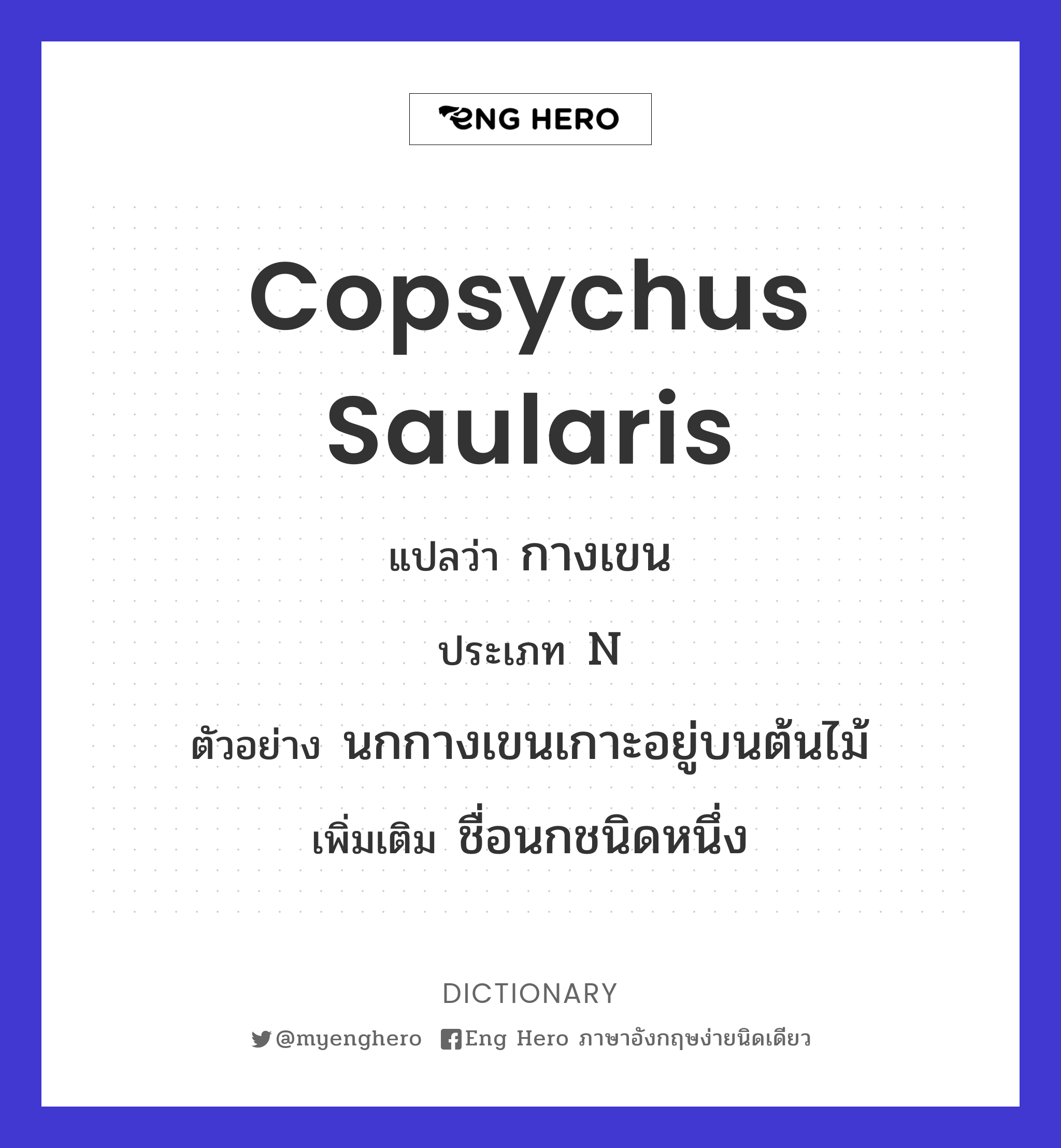 Copsychus saularis