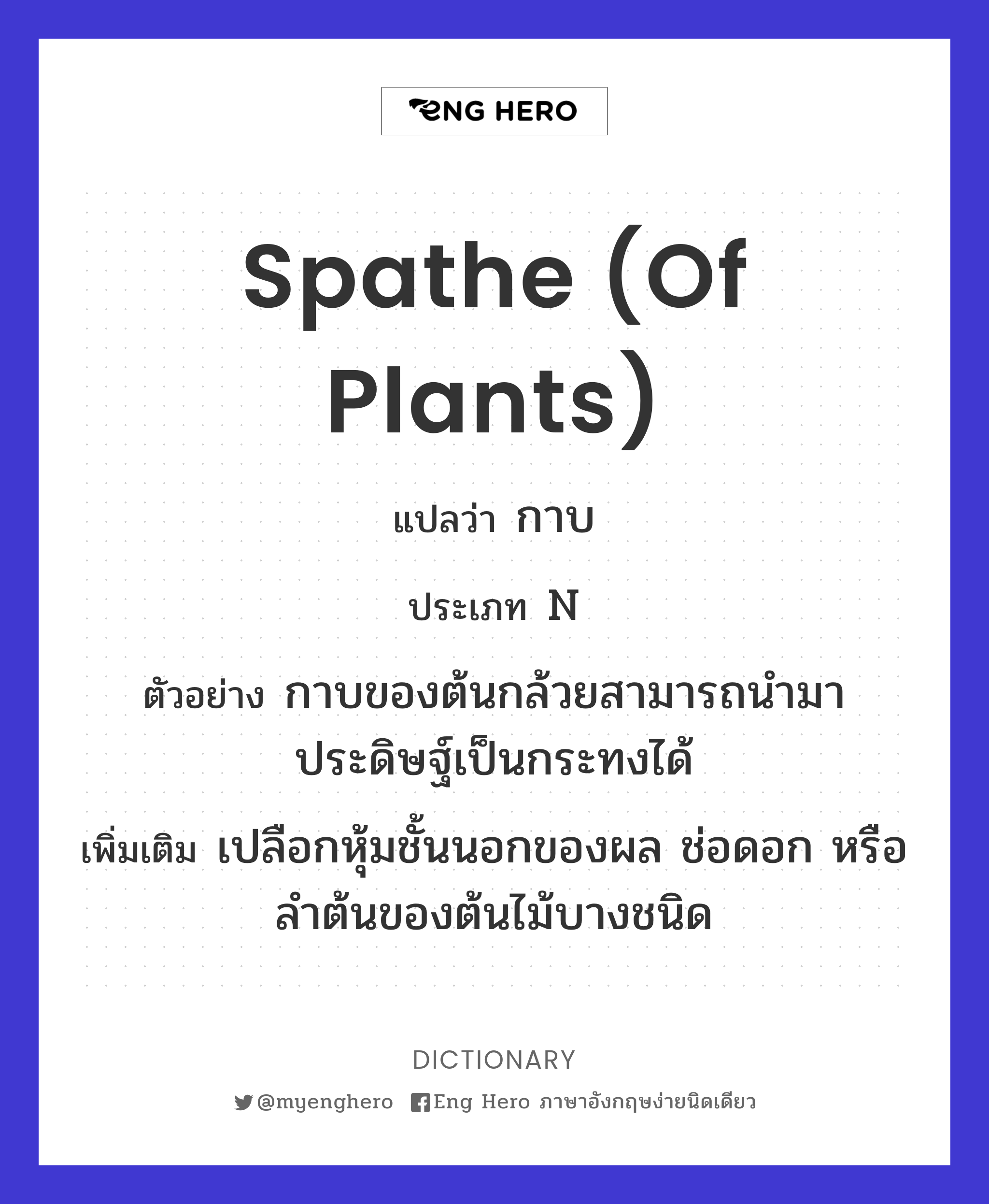 spathe (of plants)