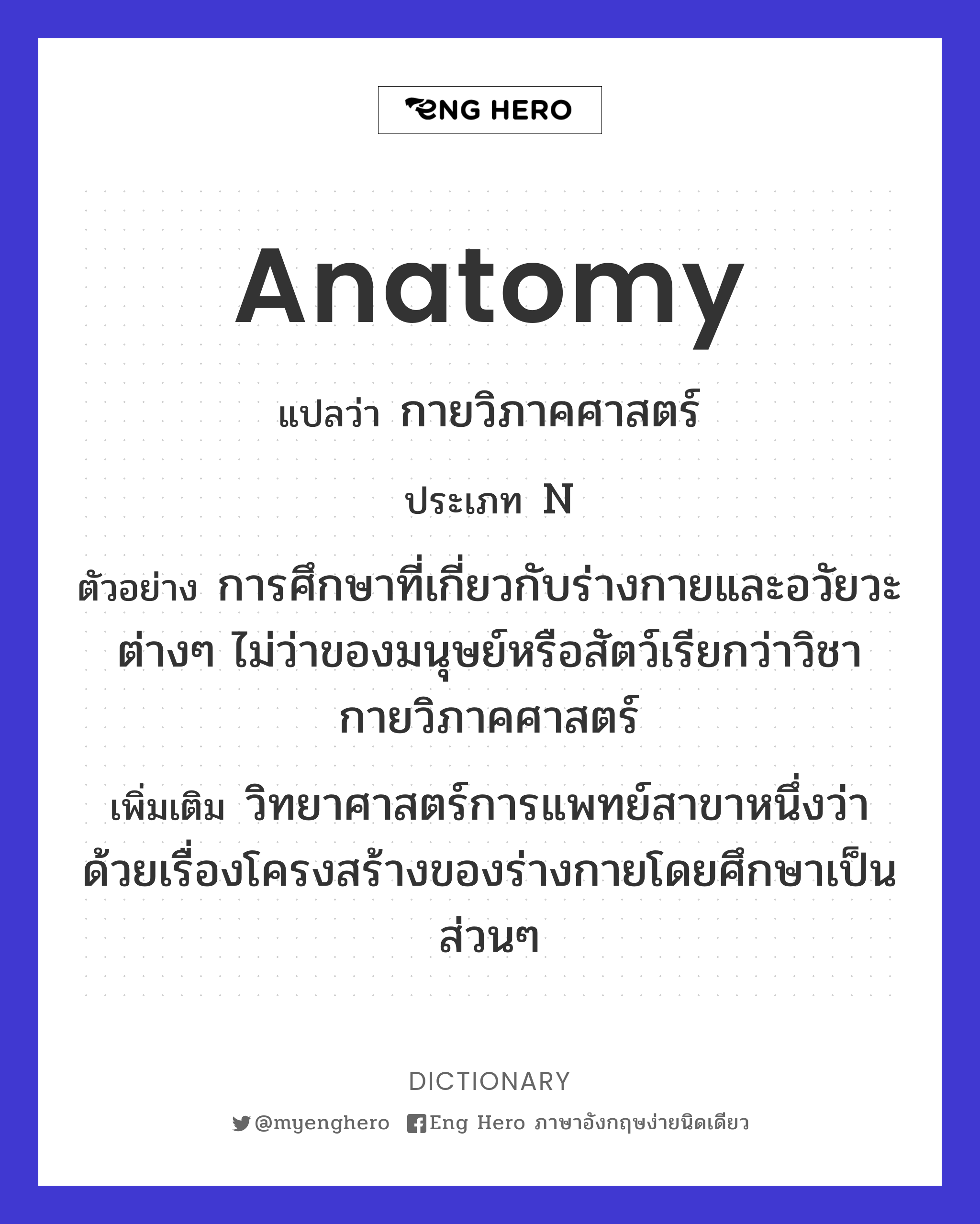 anatomy
