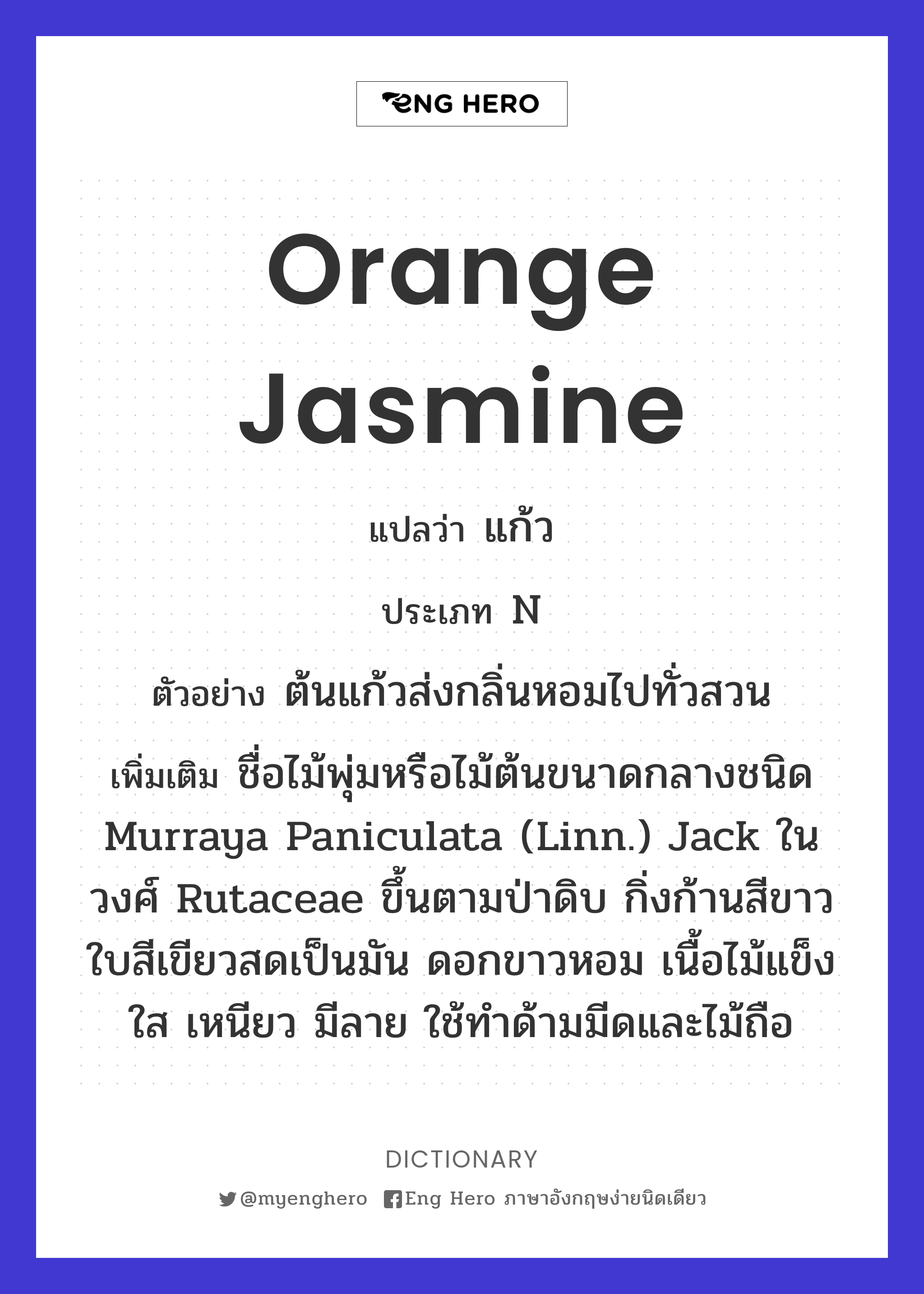 orange jasmine