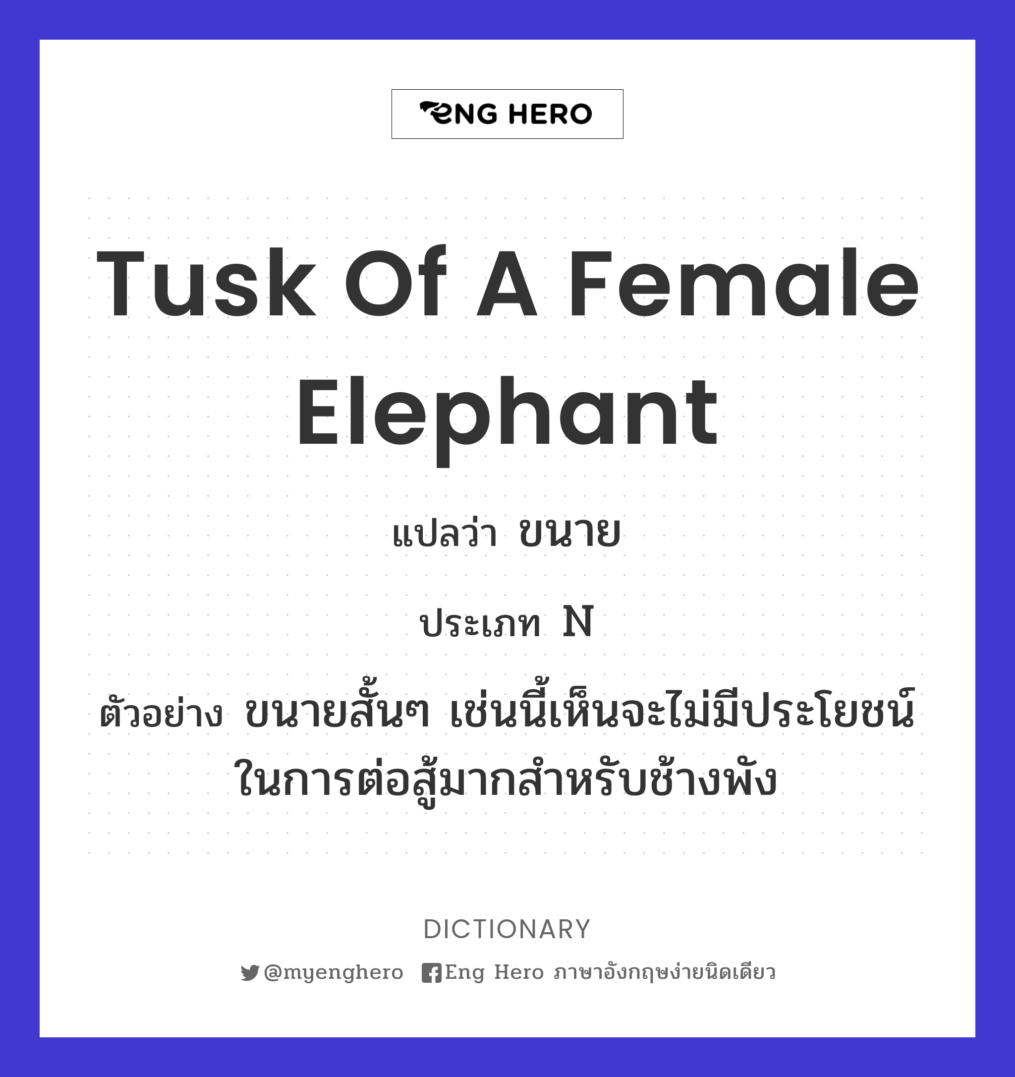 tusk of a female elephant