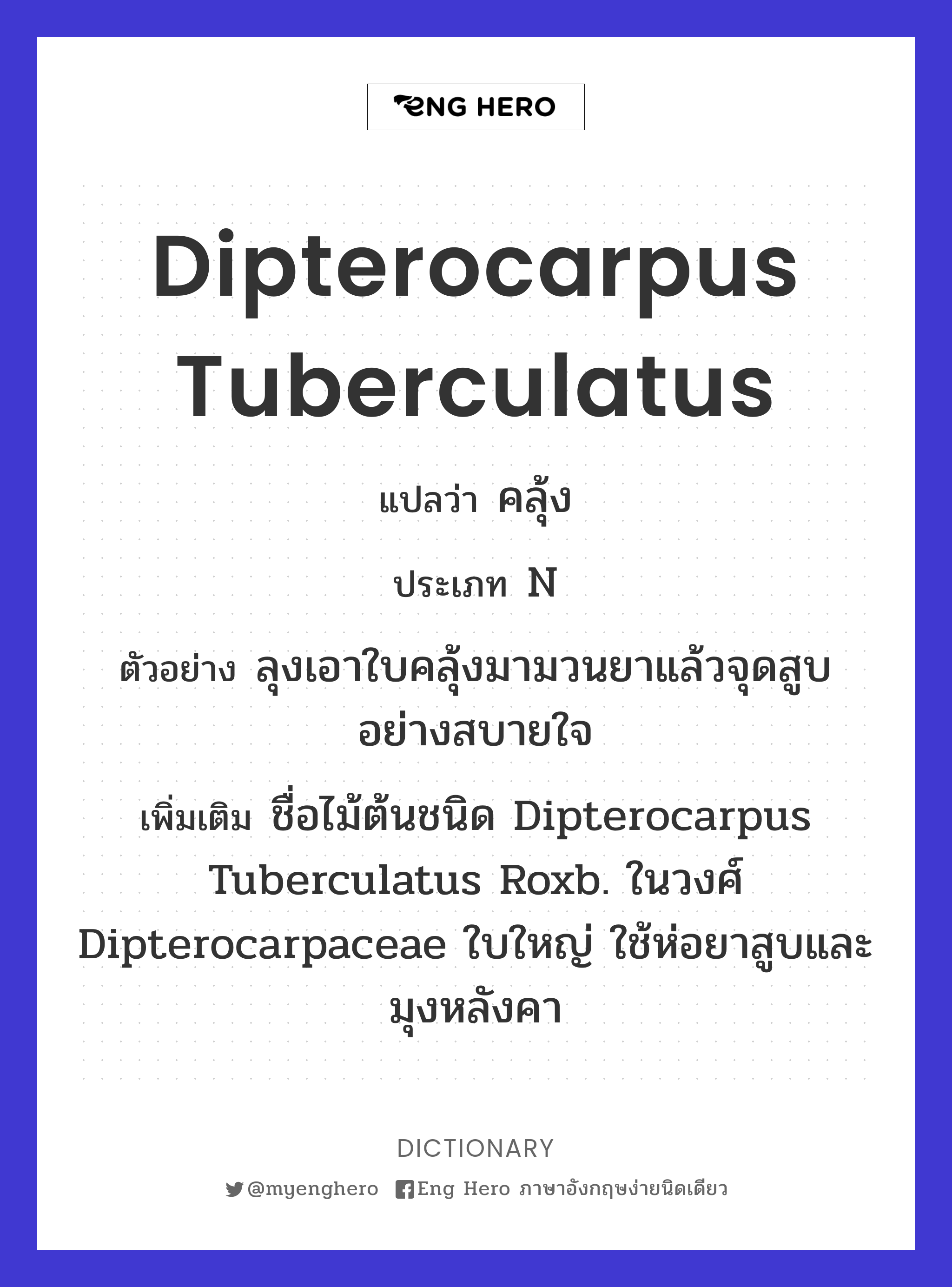 Dipterocarpus tuberculatus