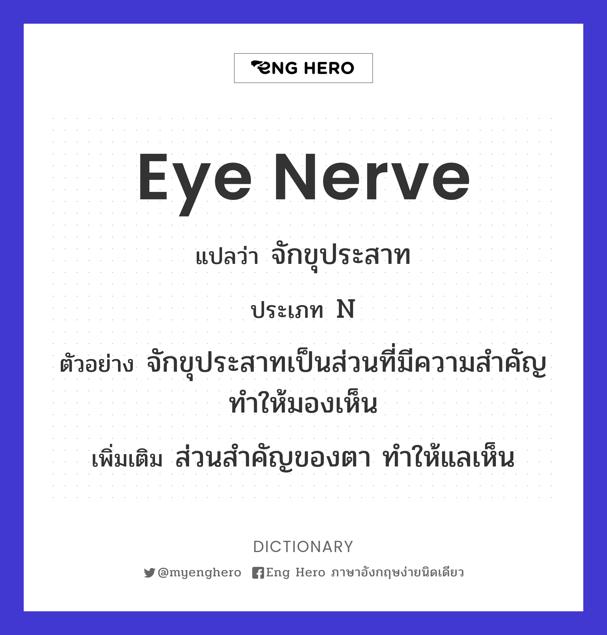 eye nerve