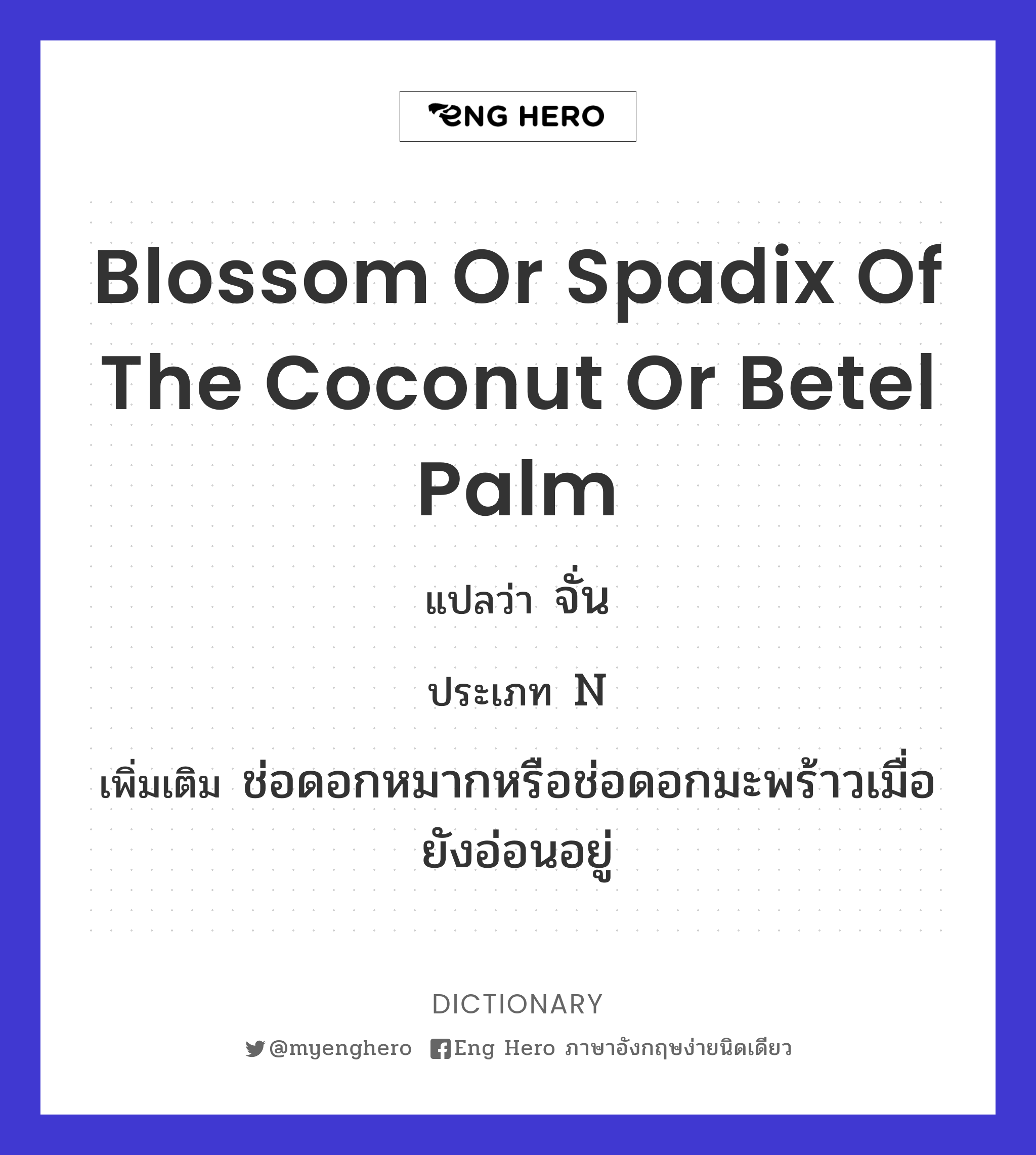 blossom or spadix of the coconut or betel palm
