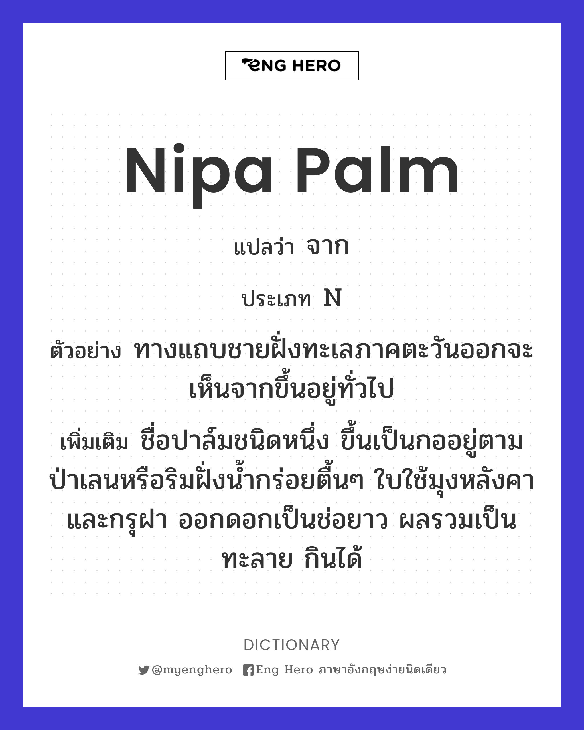 nipa palm