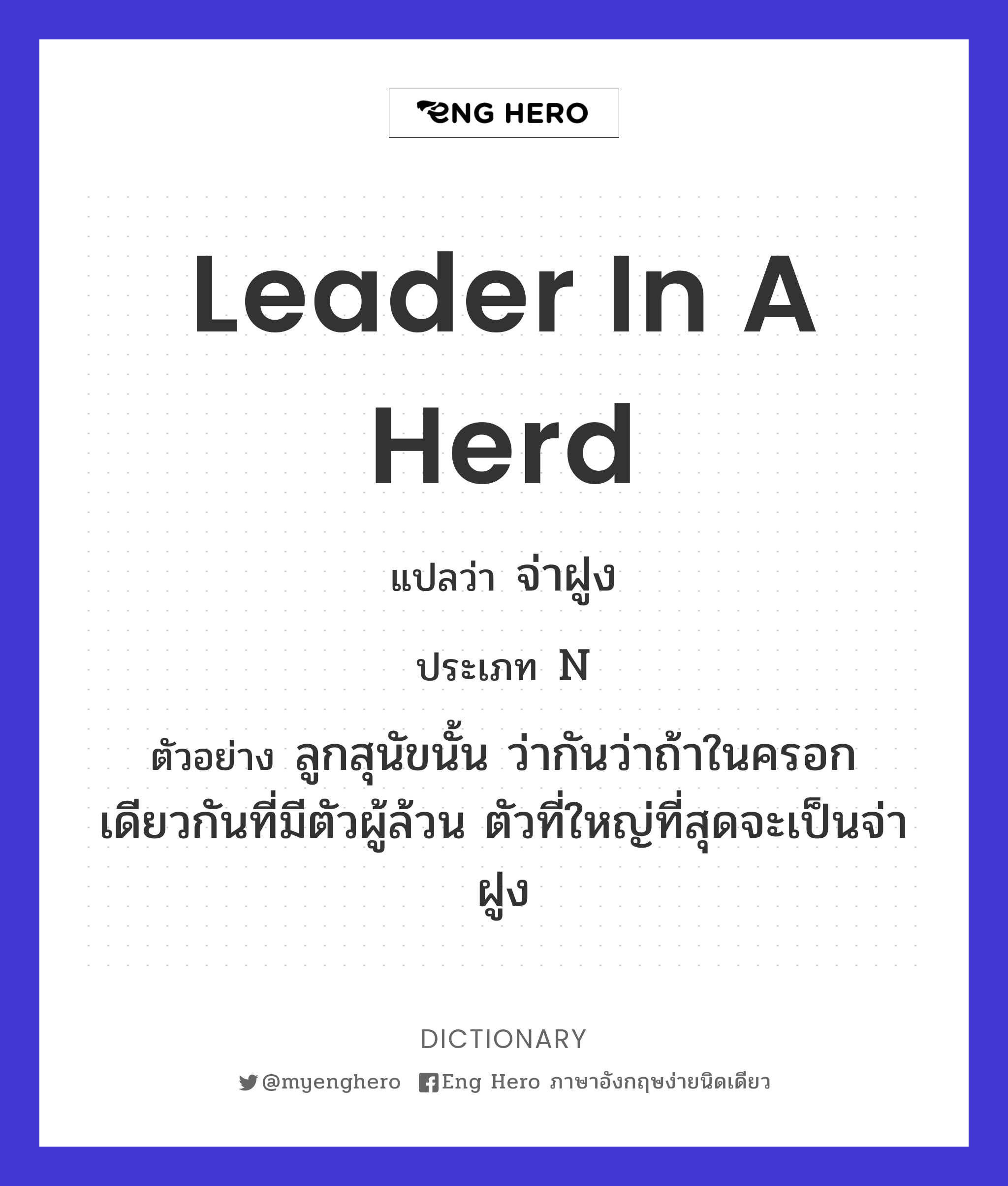 leader in a herd
