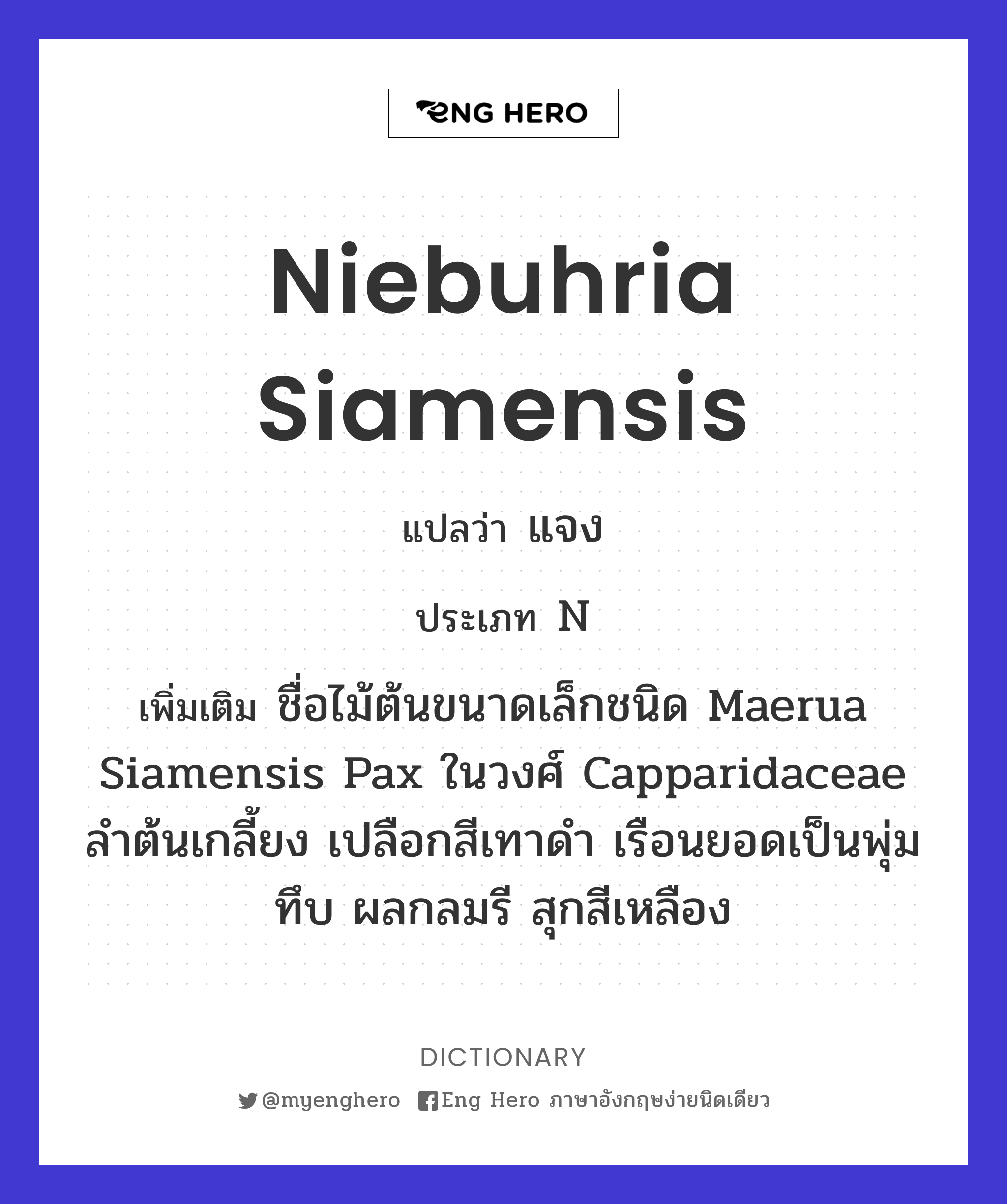 Niebuhria siamensis