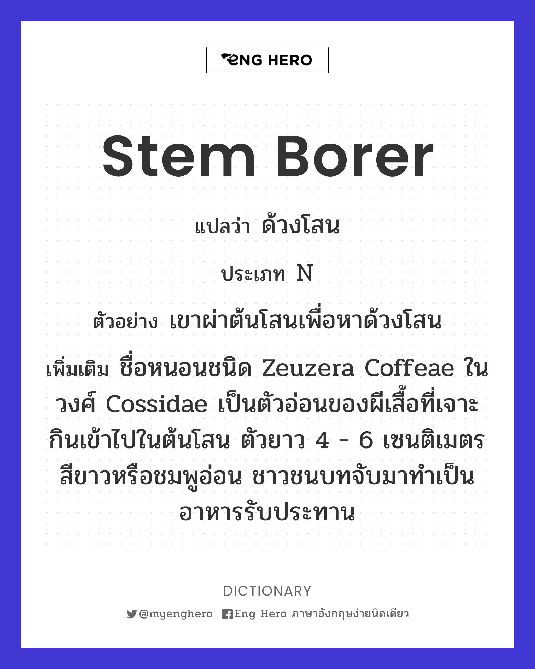 stem borer