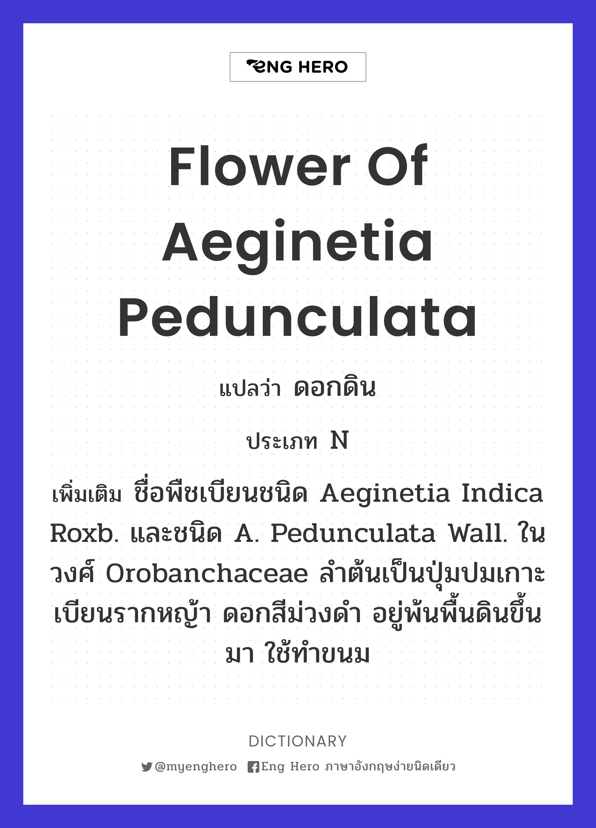 flower of Aeginetia pedunculata