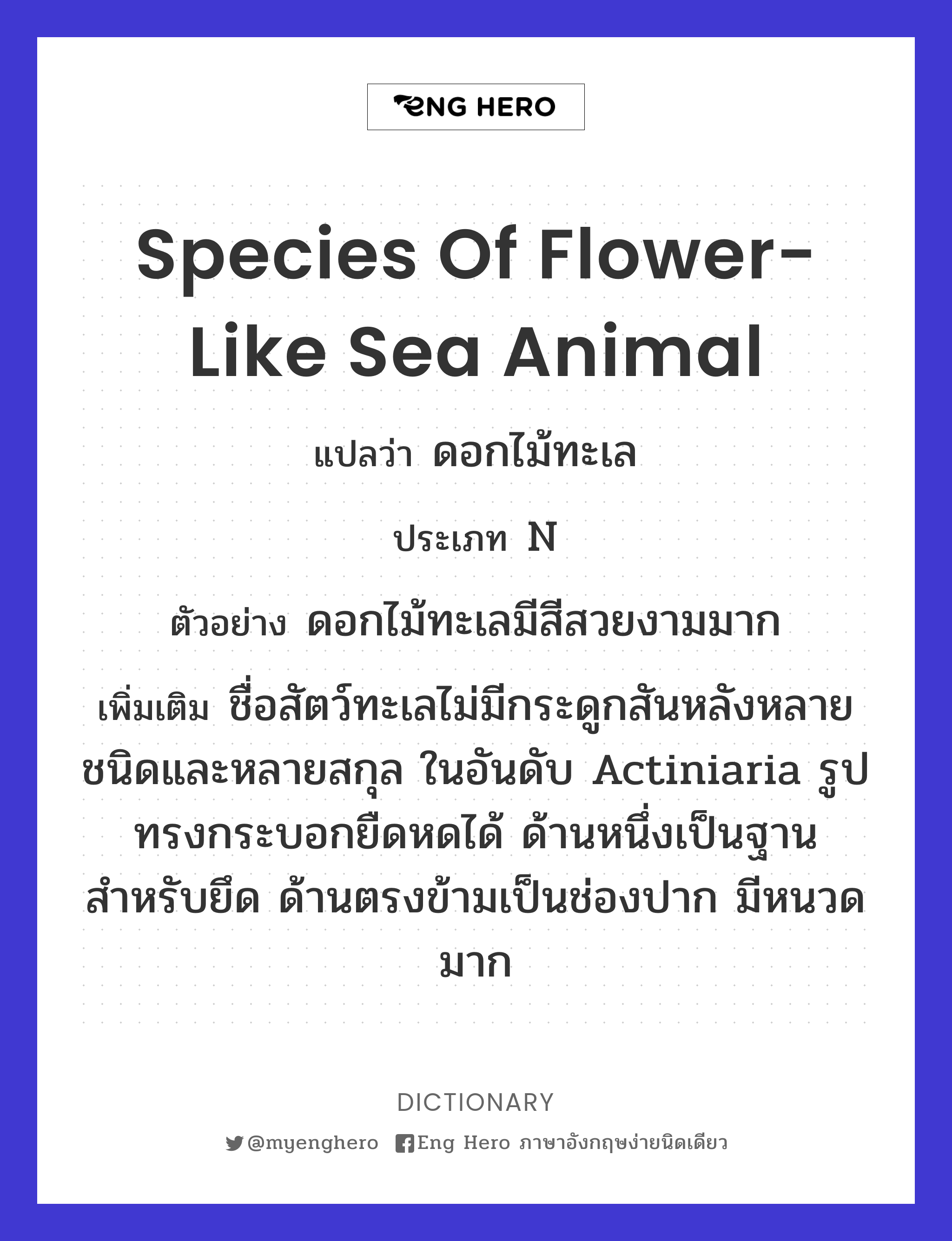 species of flower-like sea animal