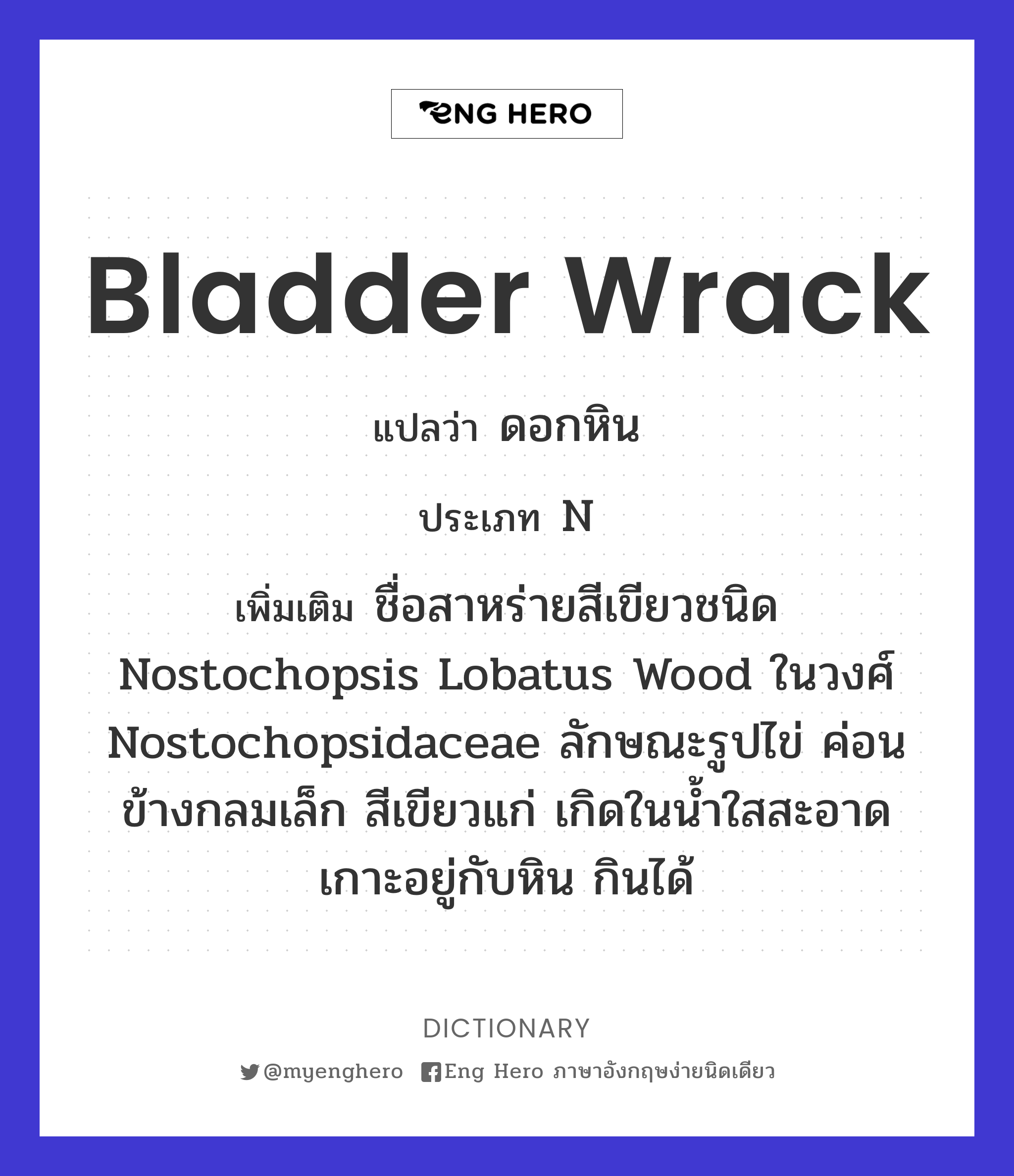 bladder wrack