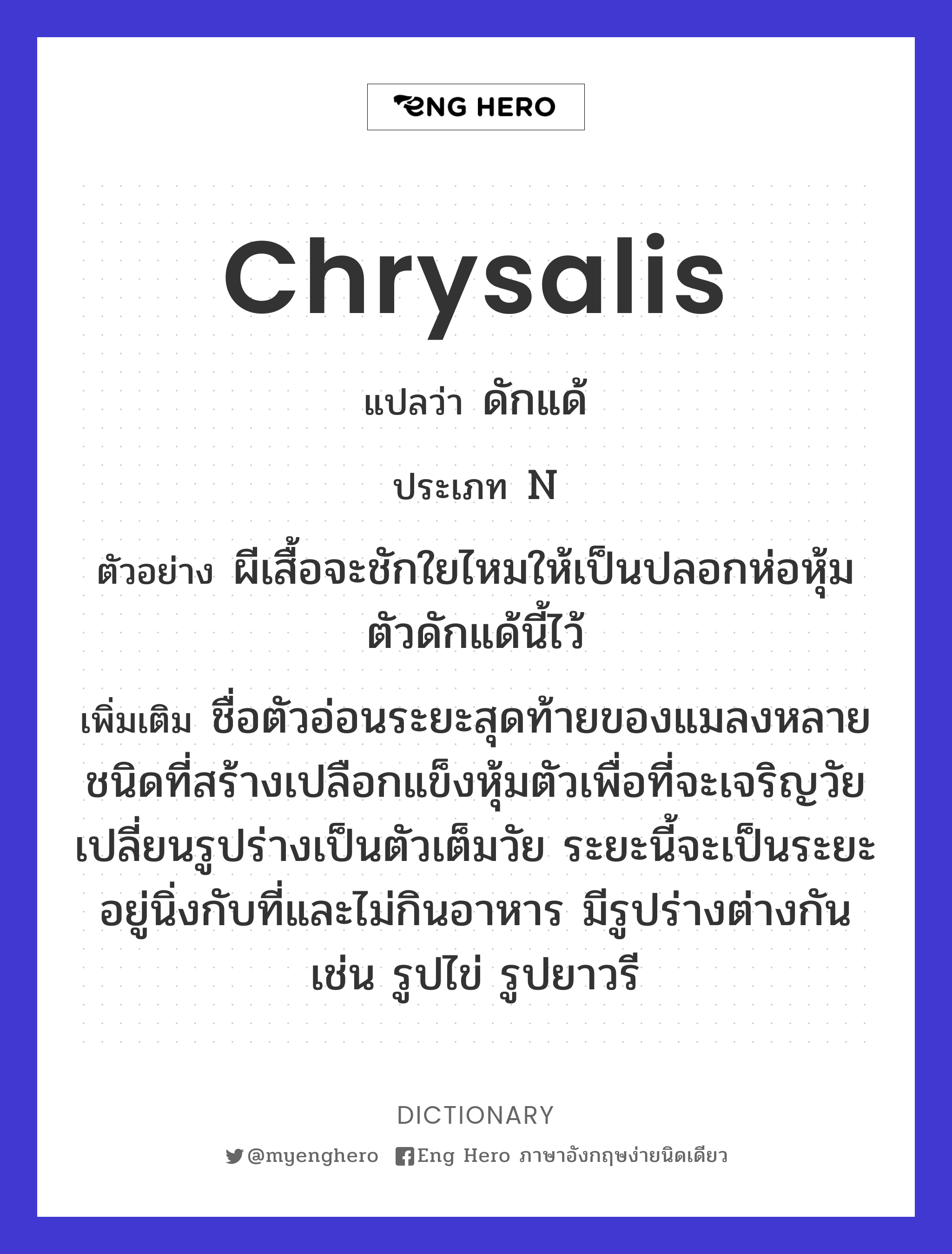 chrysalis