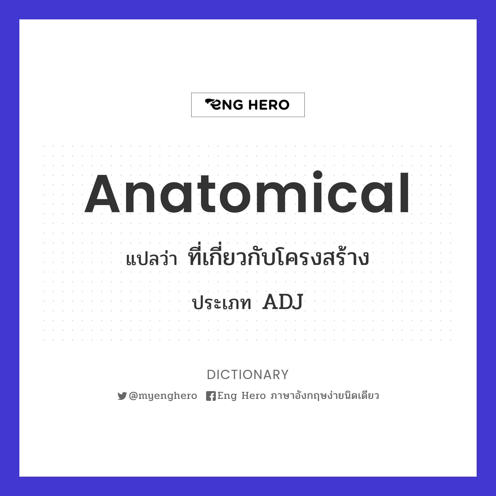 anatomical
