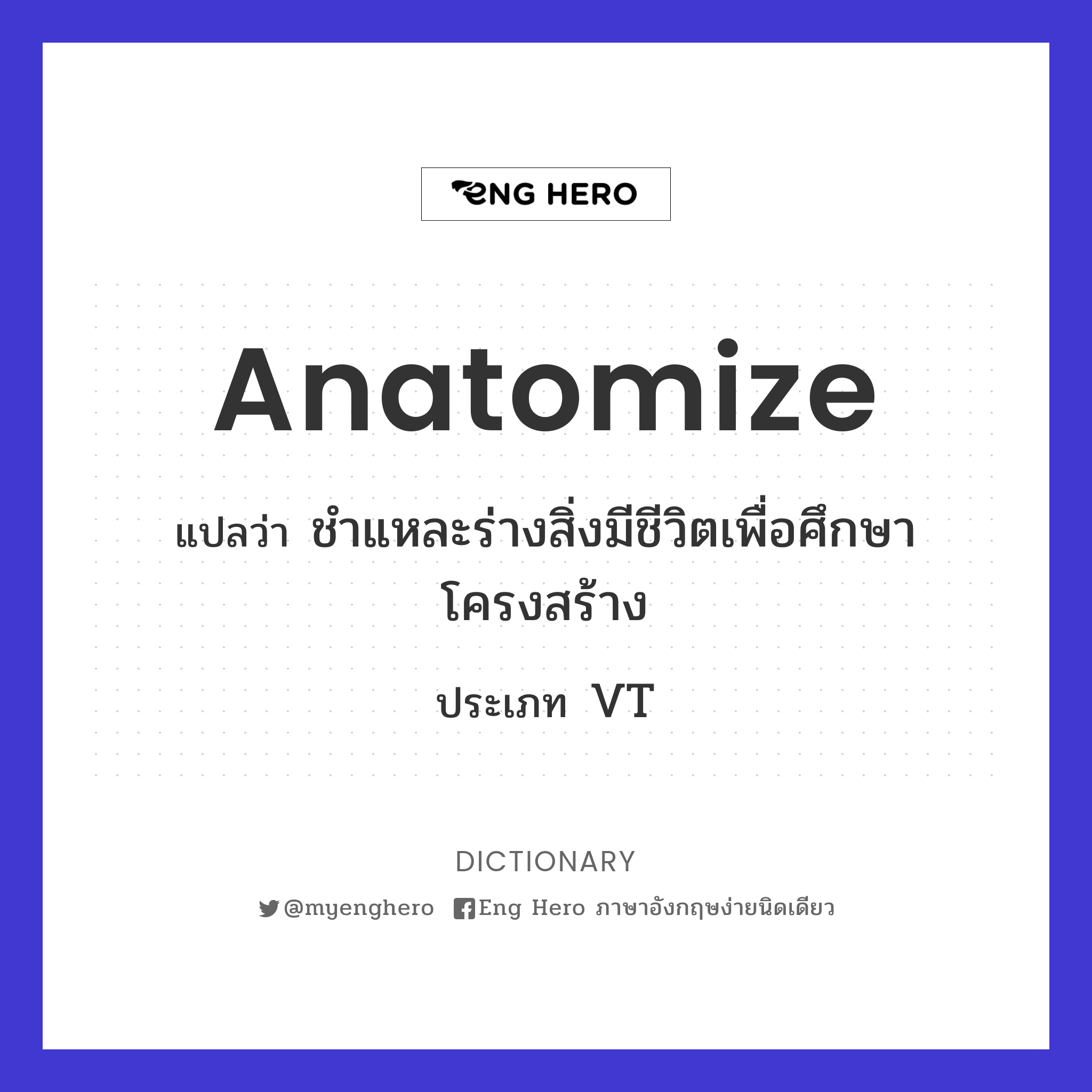 anatomize