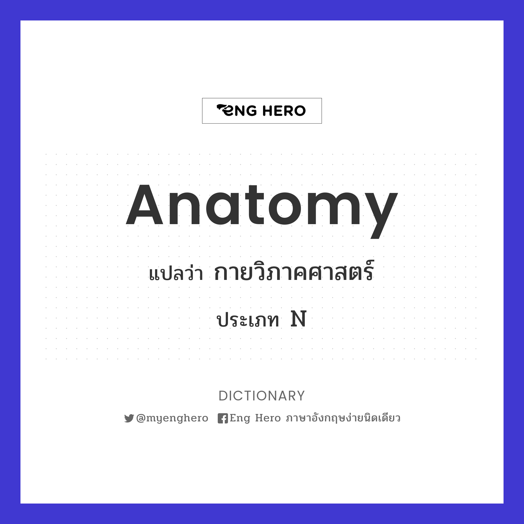 anatomy