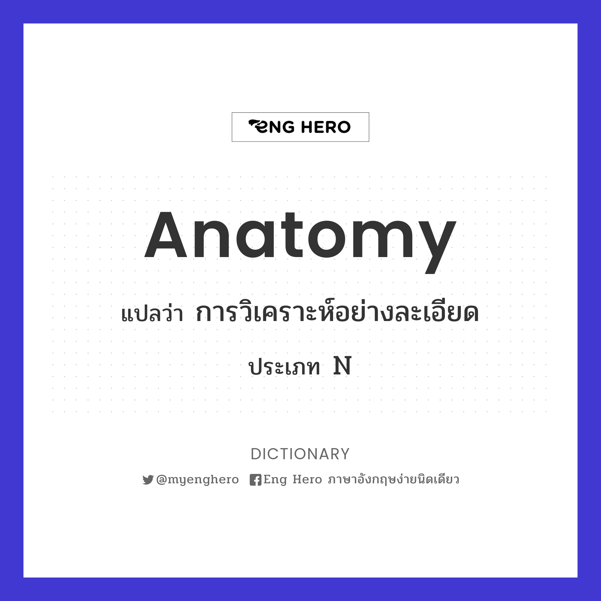 anatomy