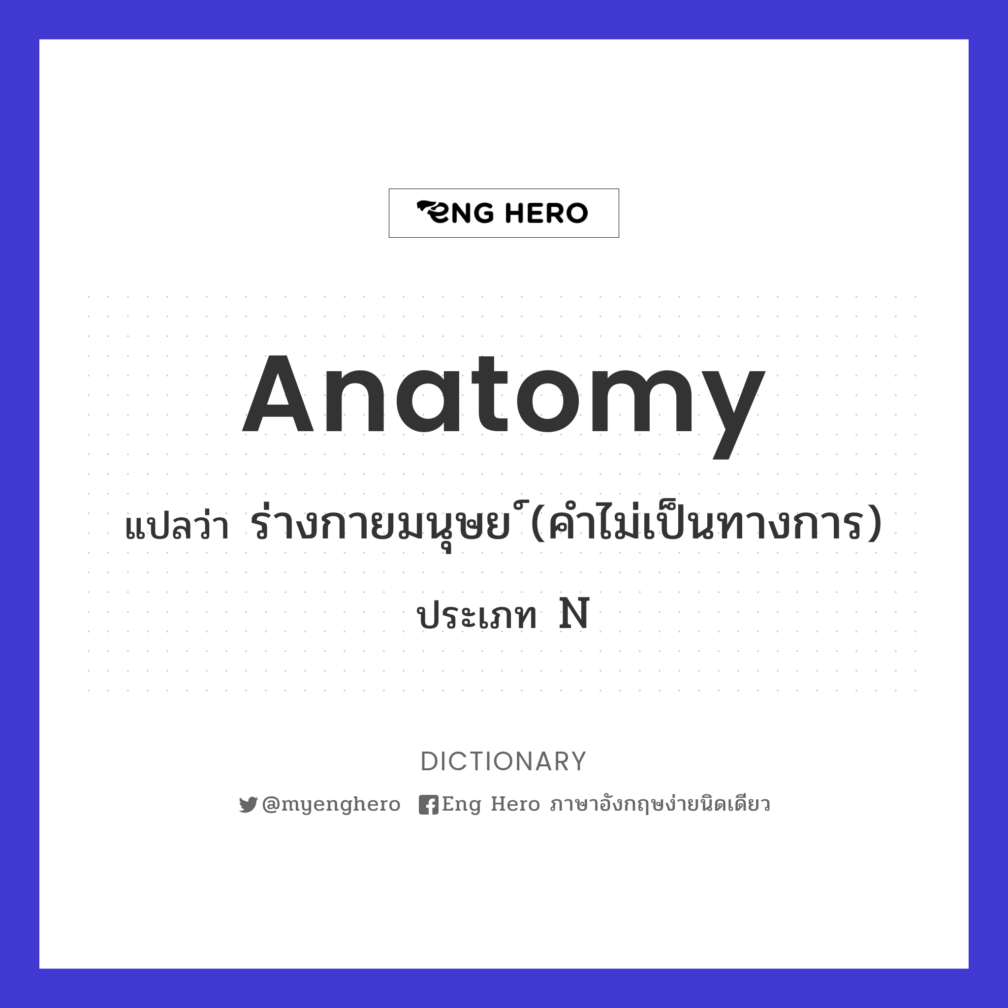 anatomy