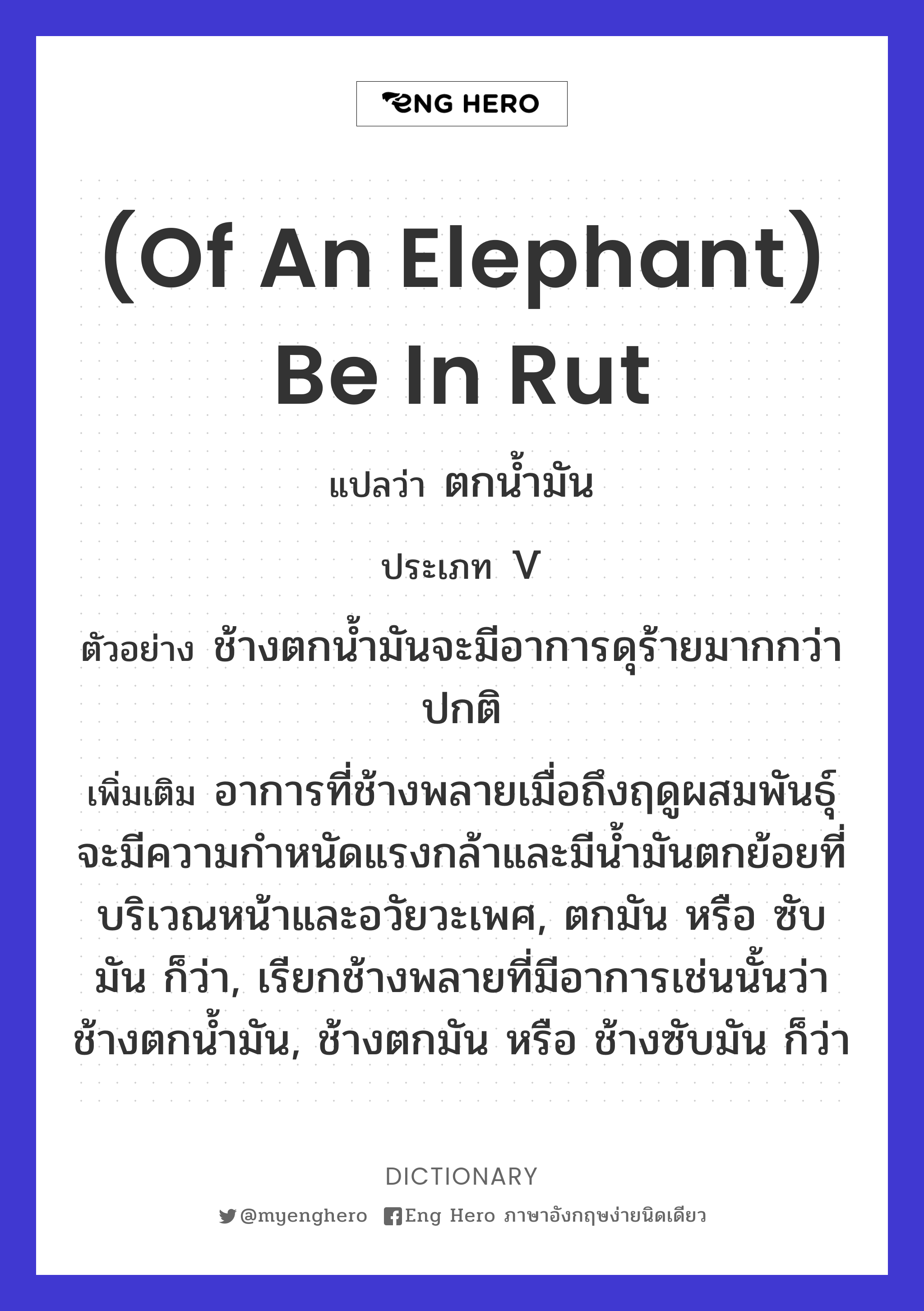 (of an elephant) be in rut