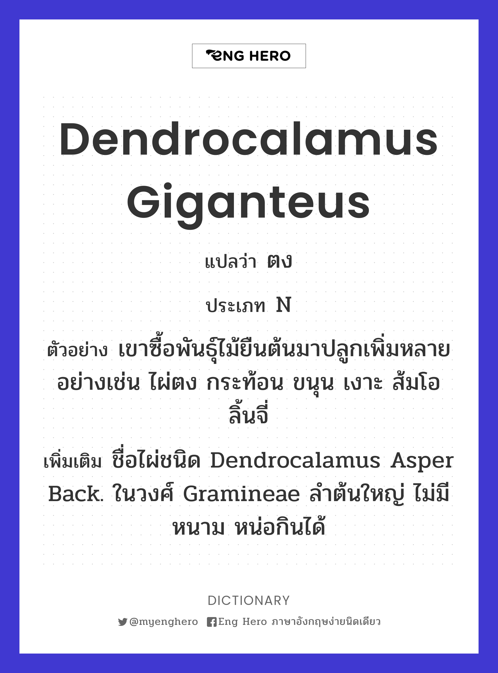 Dendrocalamus giganteus