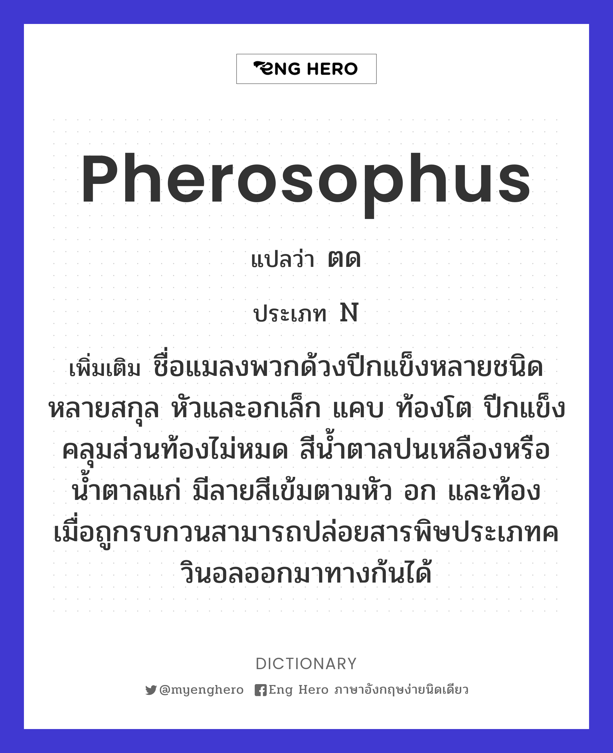 Pherosophus