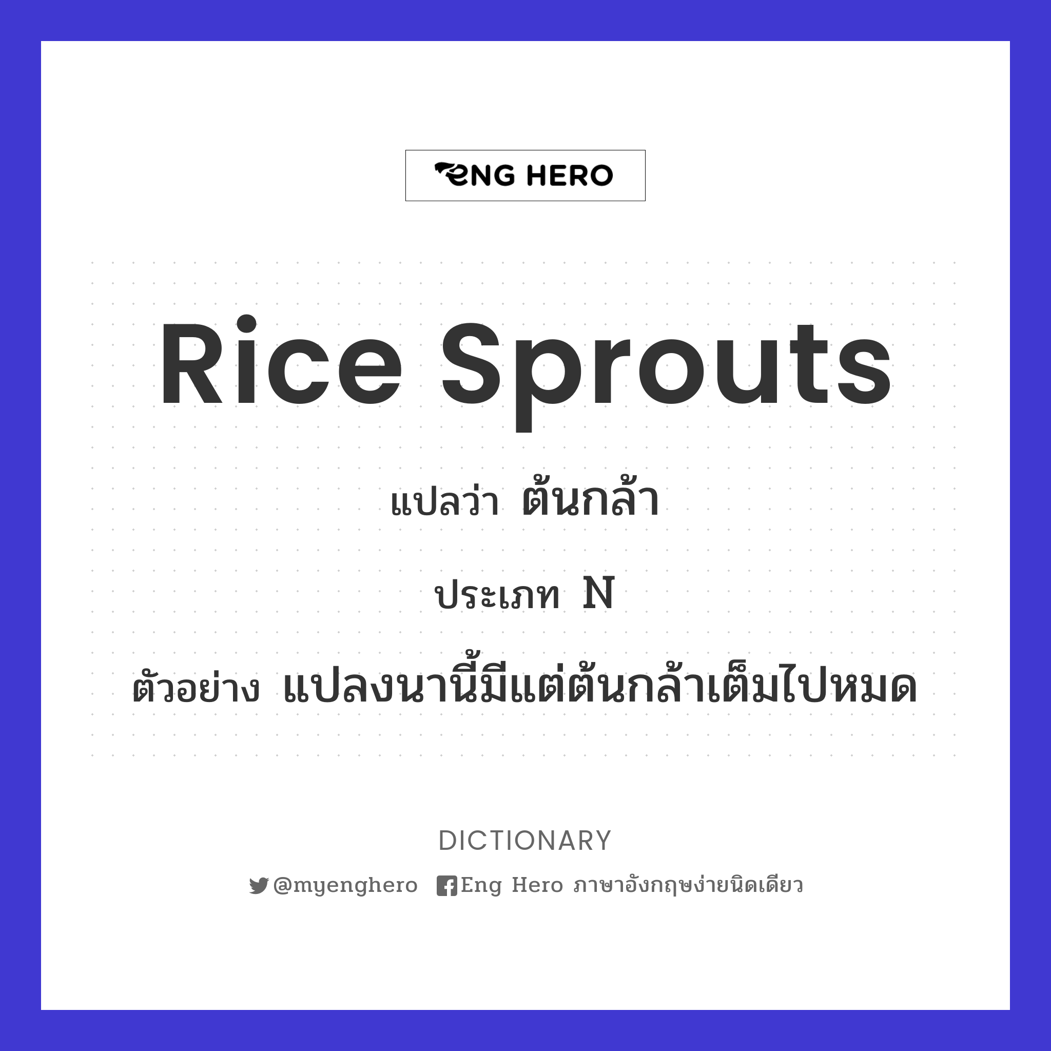 rice sprouts