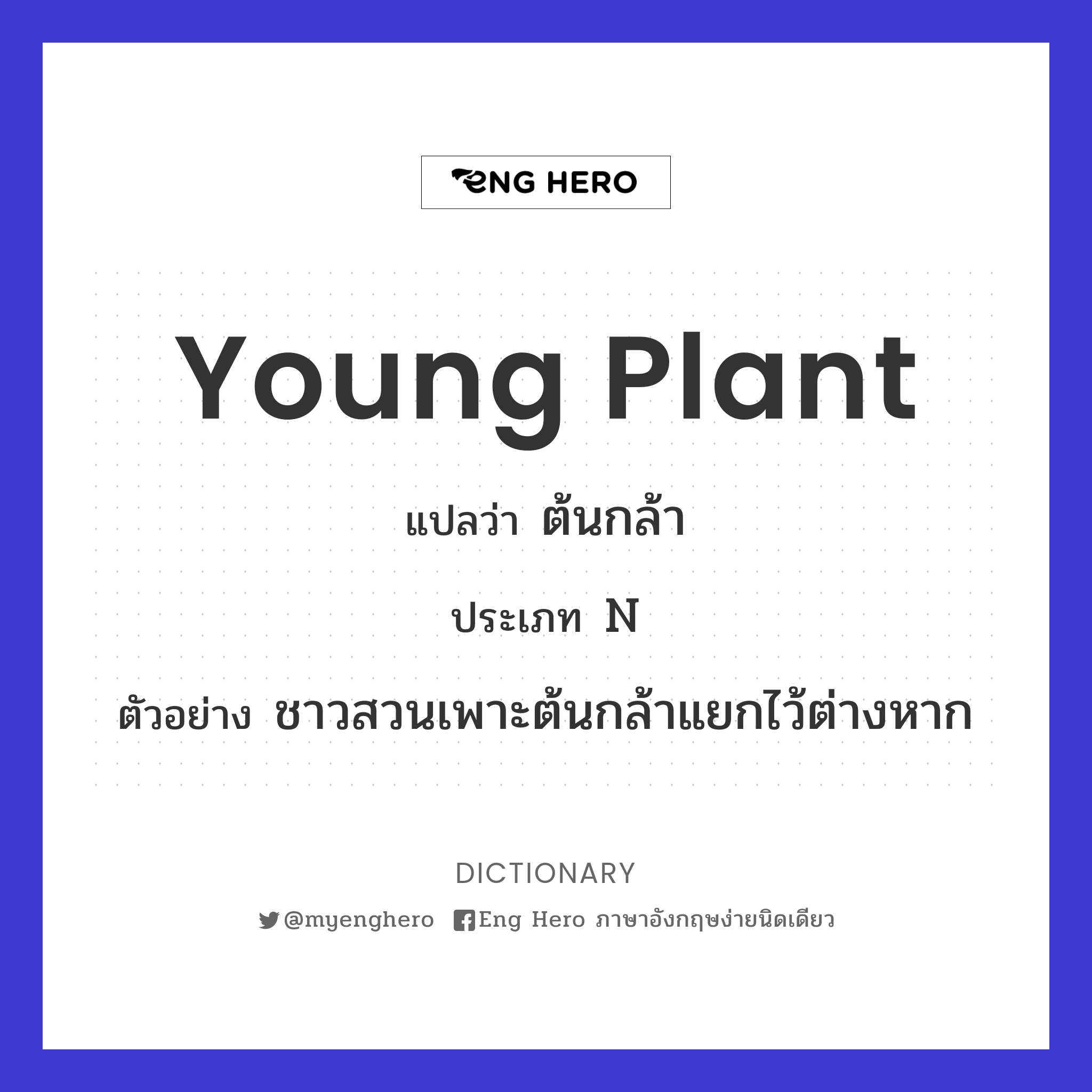 young plant