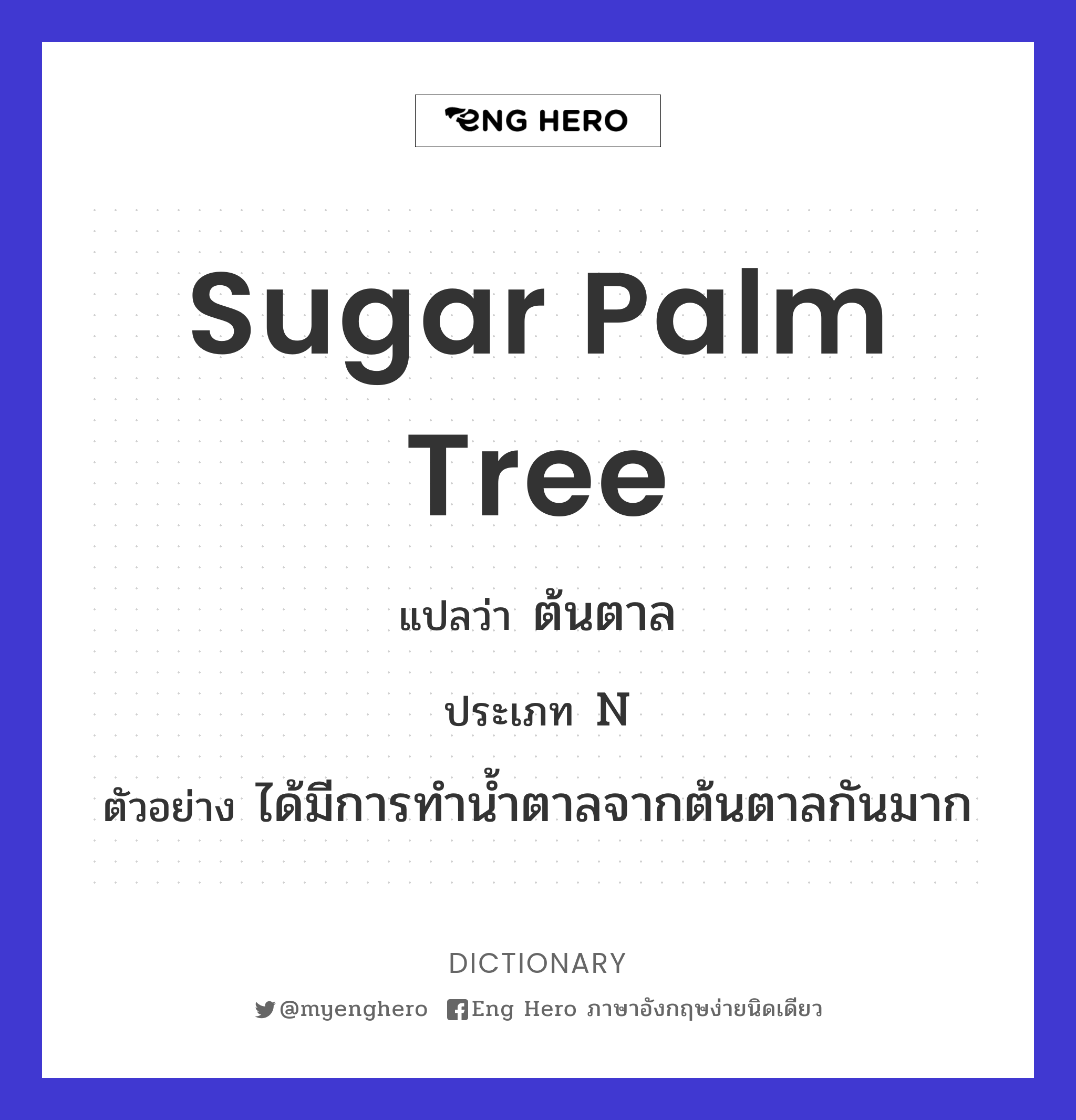 sugar palm tree