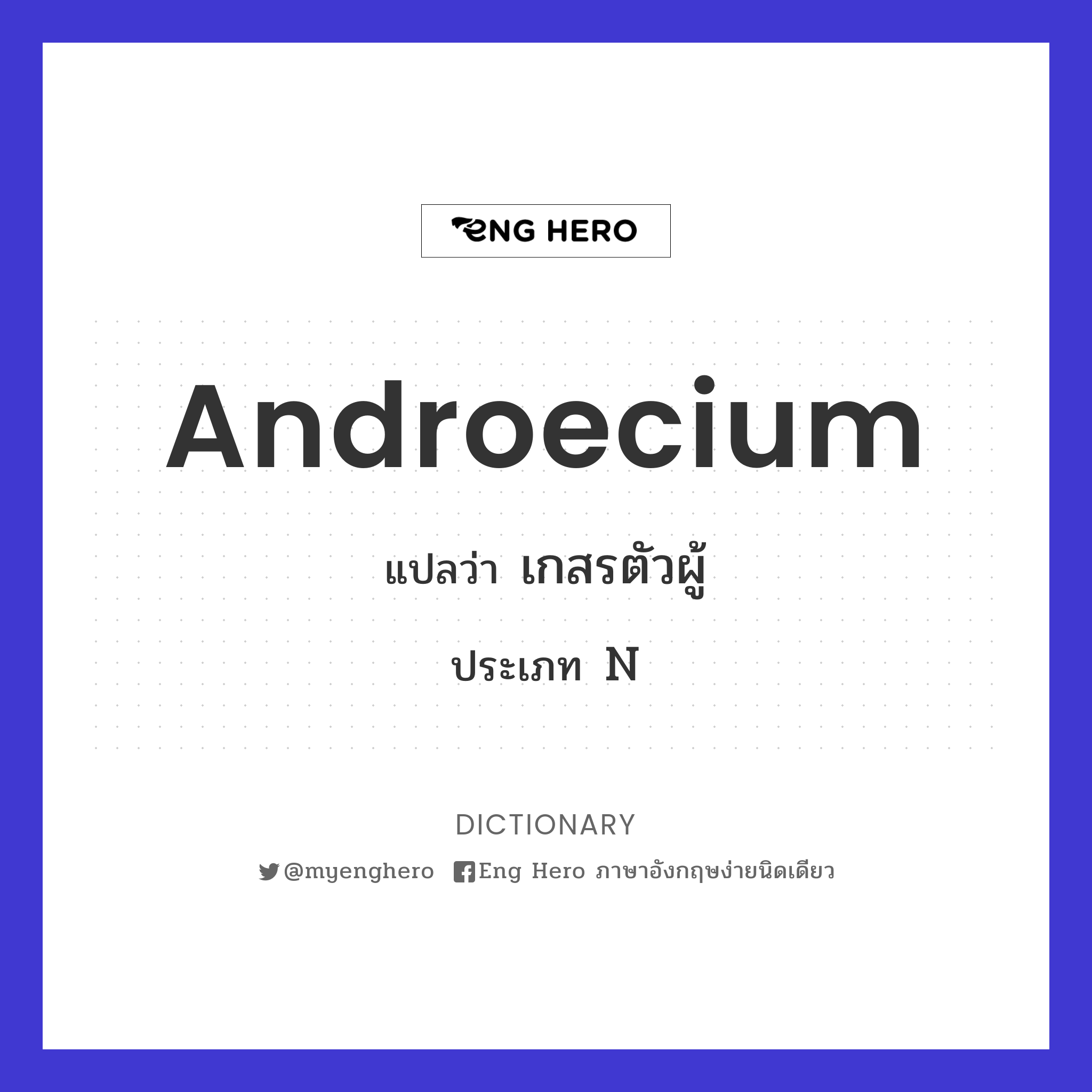 androecium