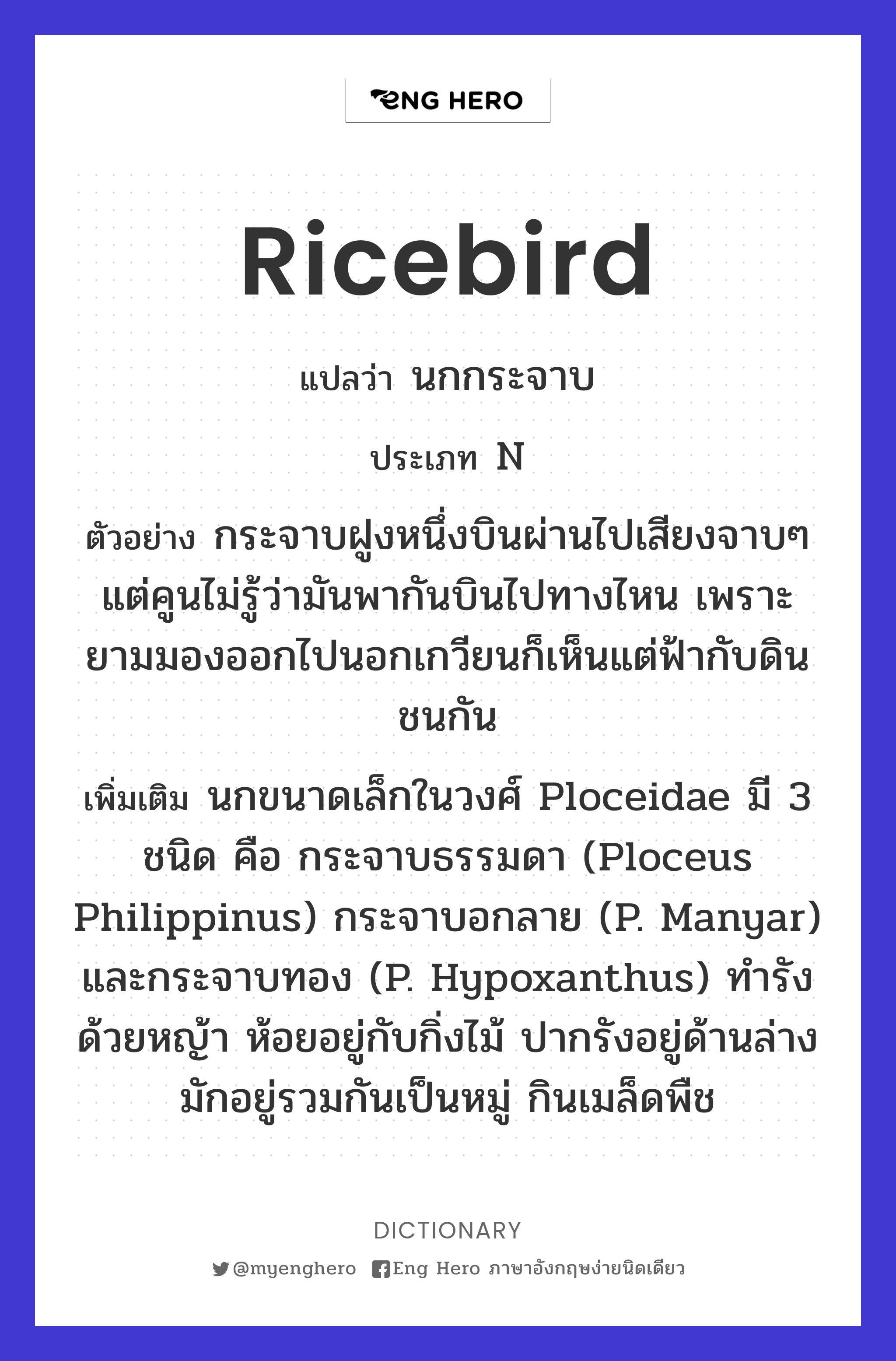 ricebird