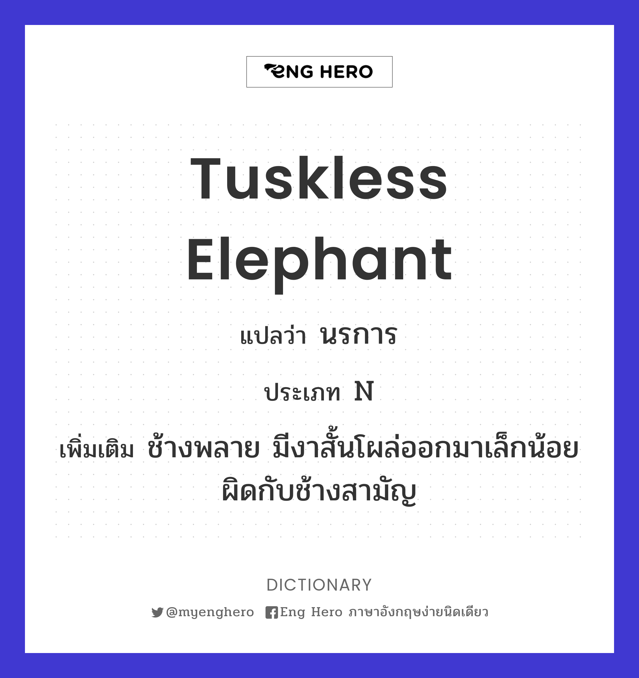 tuskless elephant