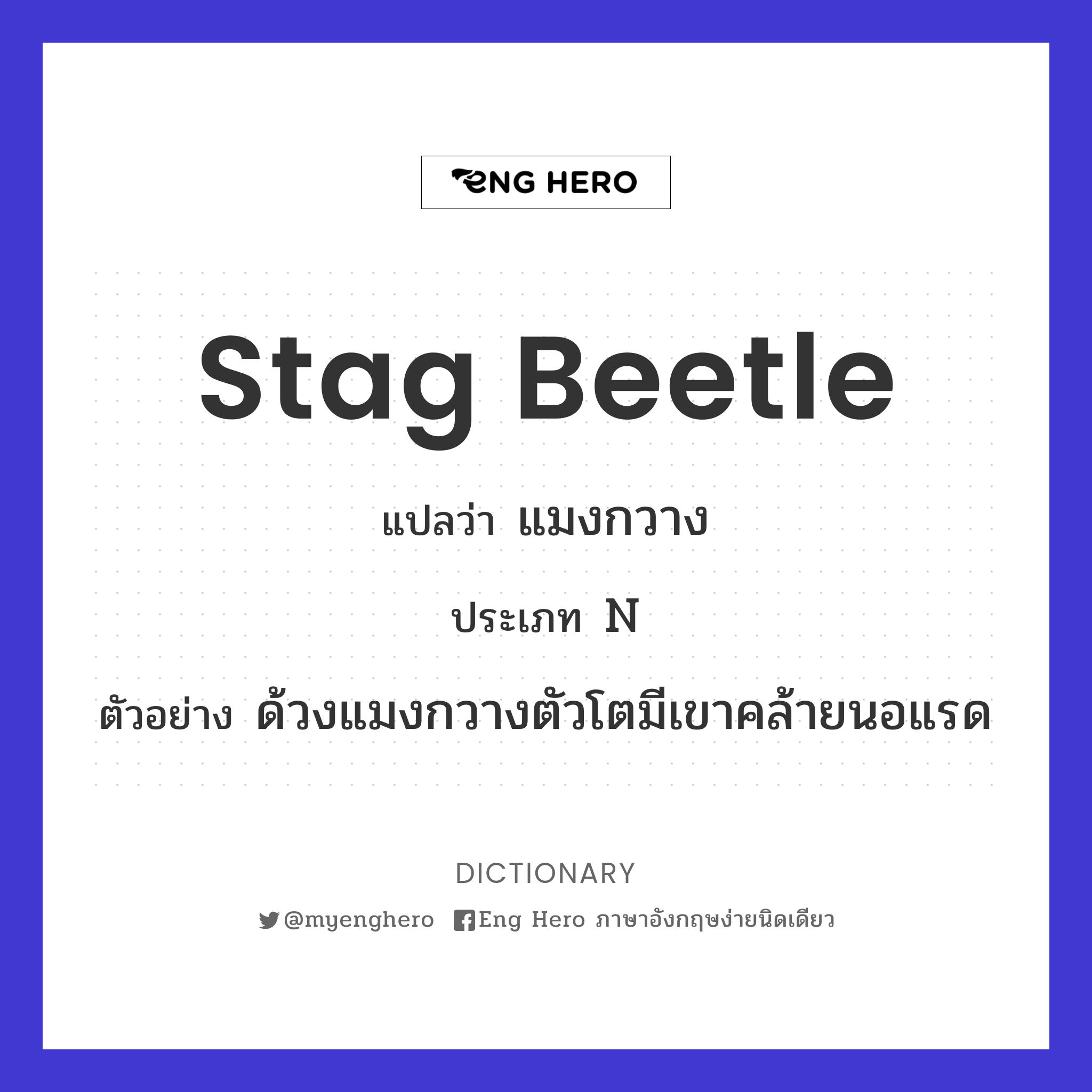 stag beetle