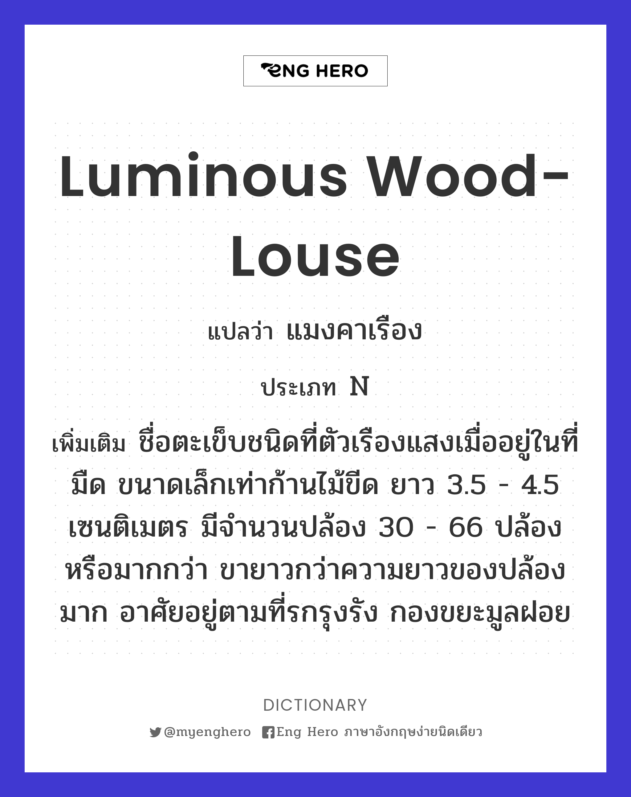 luminous wood-louse