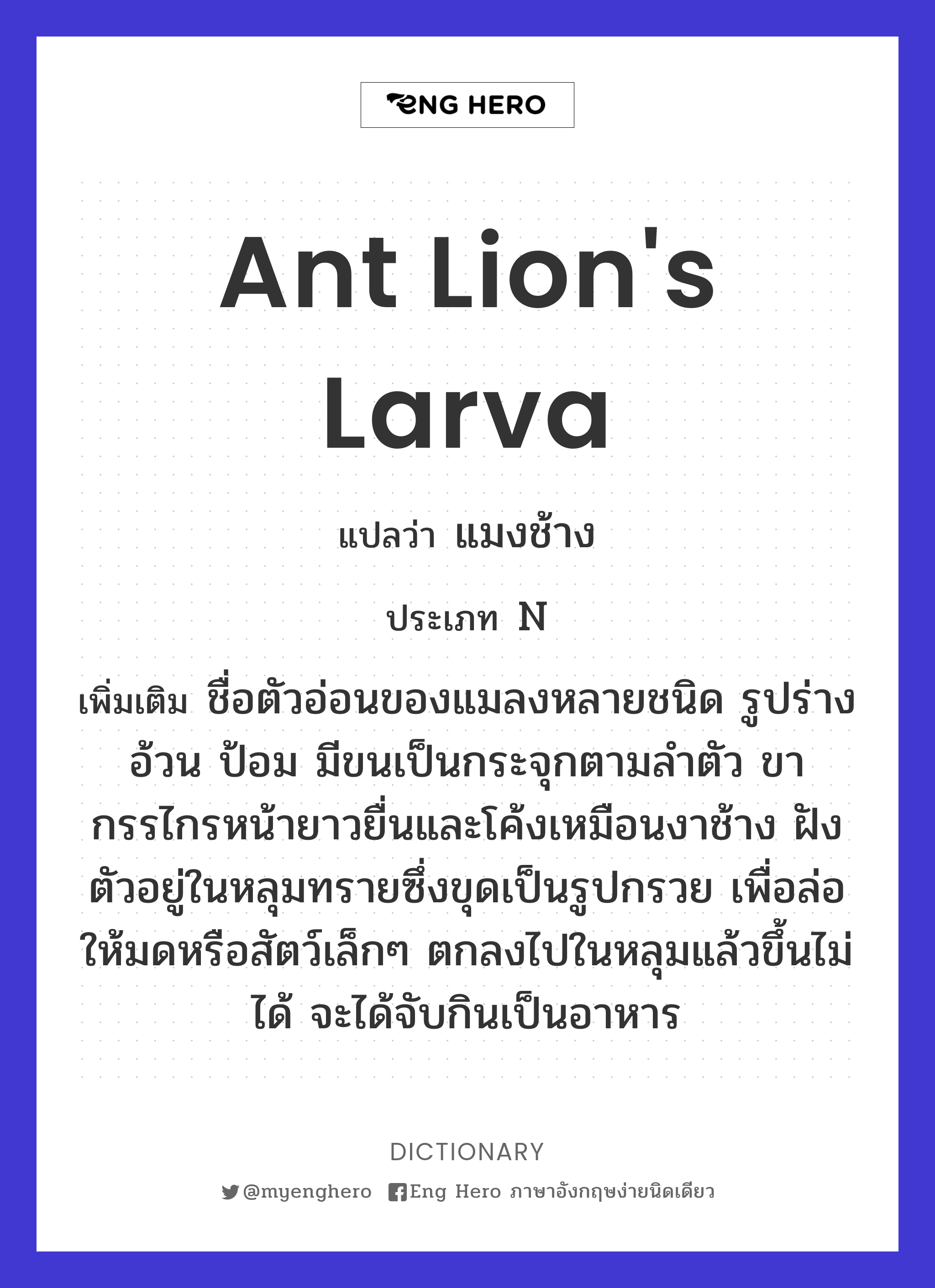 ant lion's larva