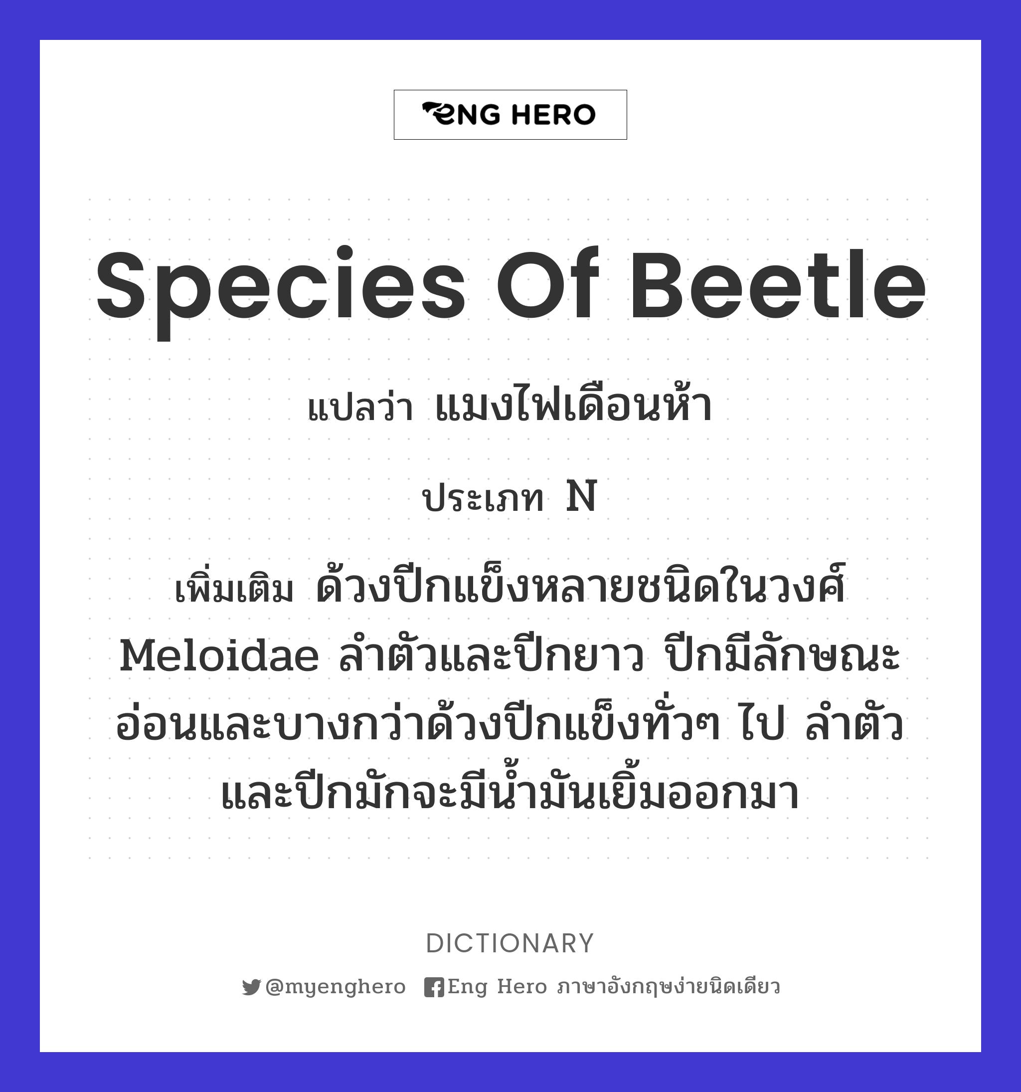 species of beetle