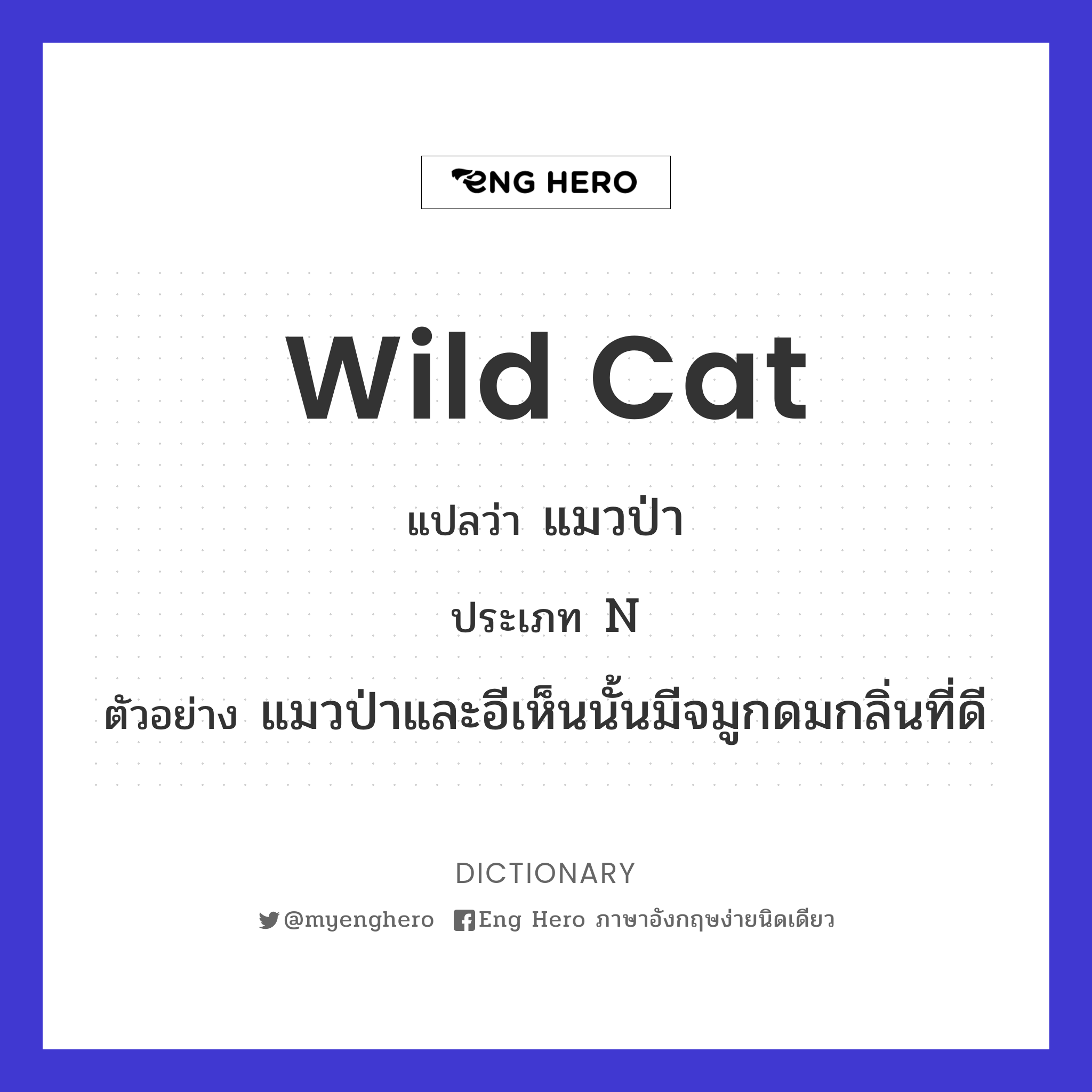 wild cat