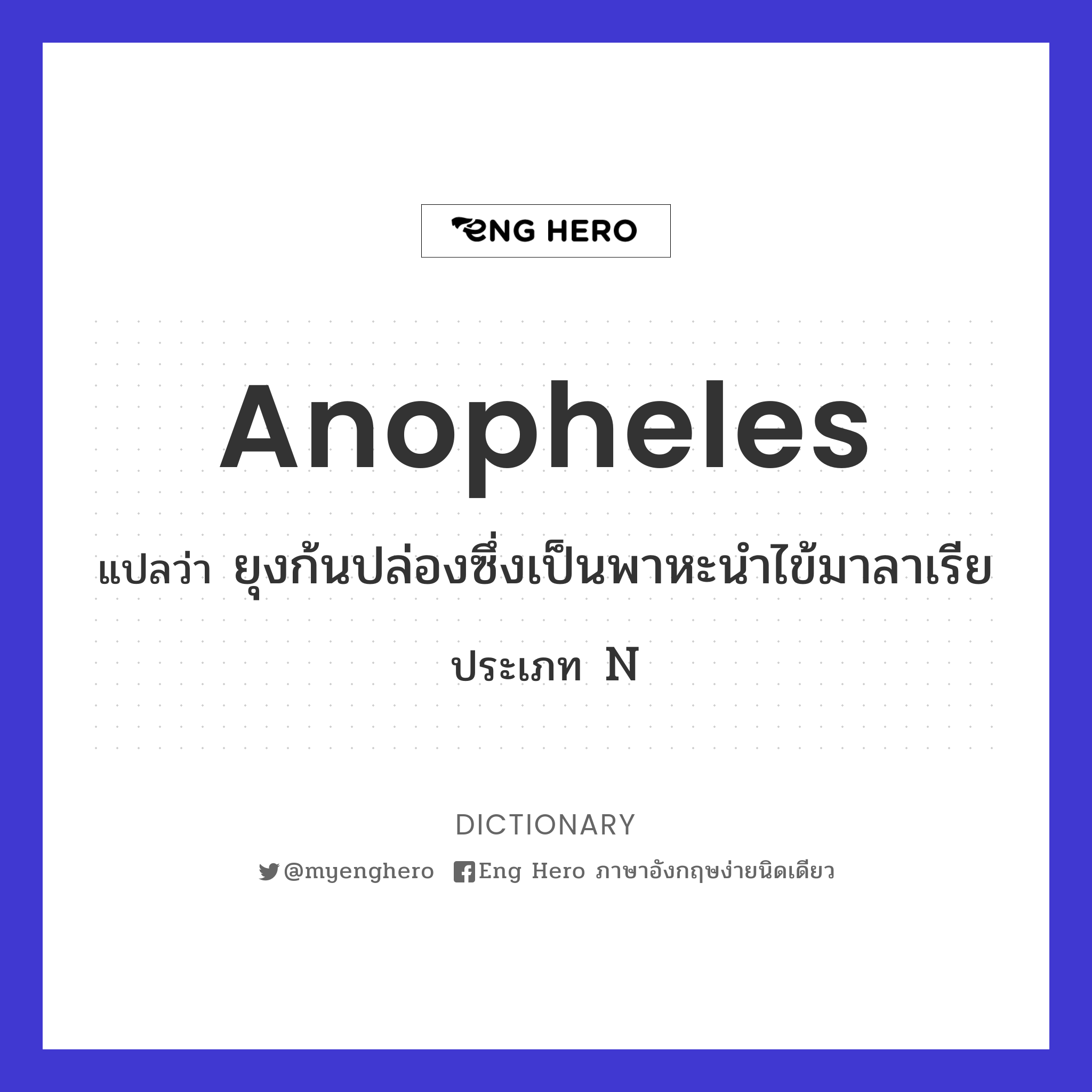 anopheles