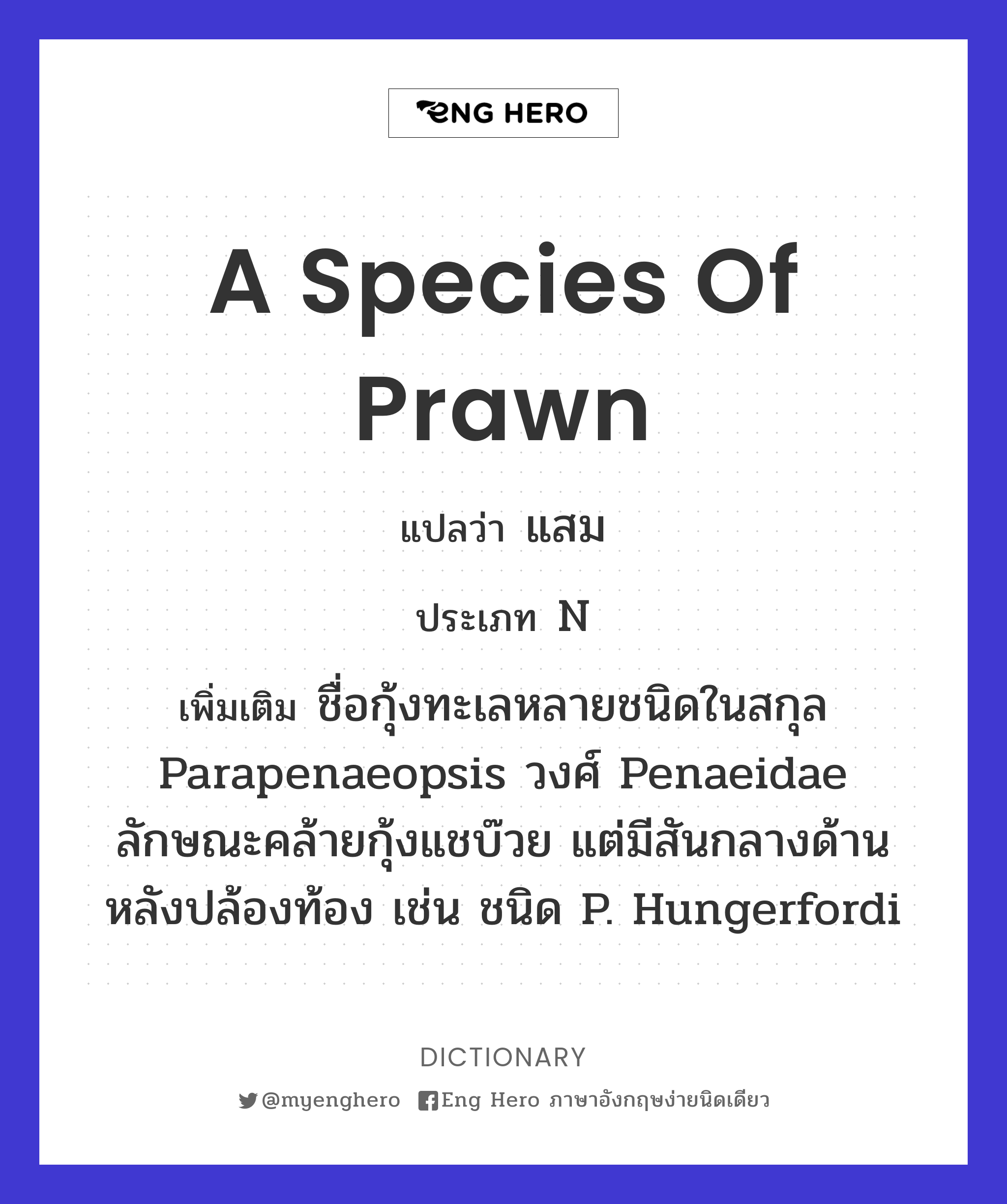 a species of prawn
