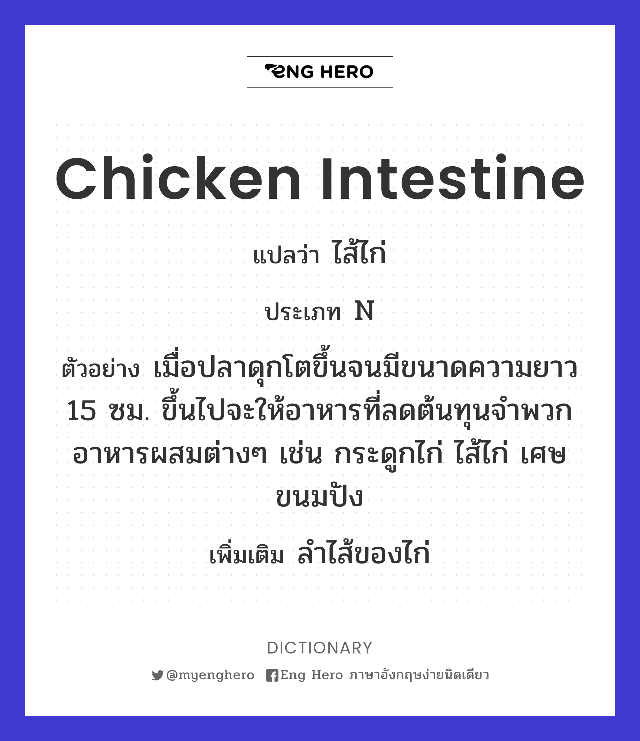 chicken intestine