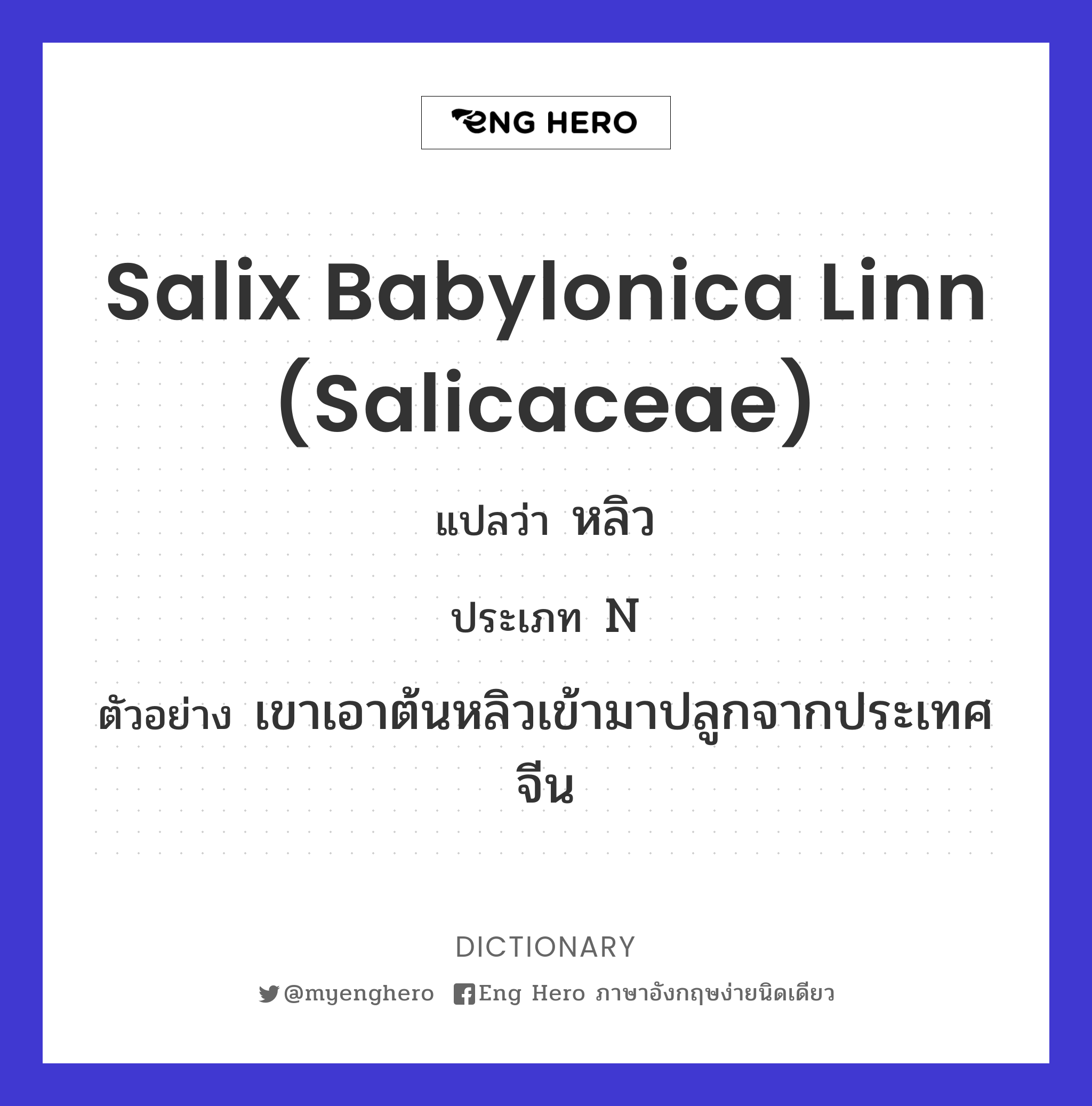 Salix babylonica Linn (Salicaceae)