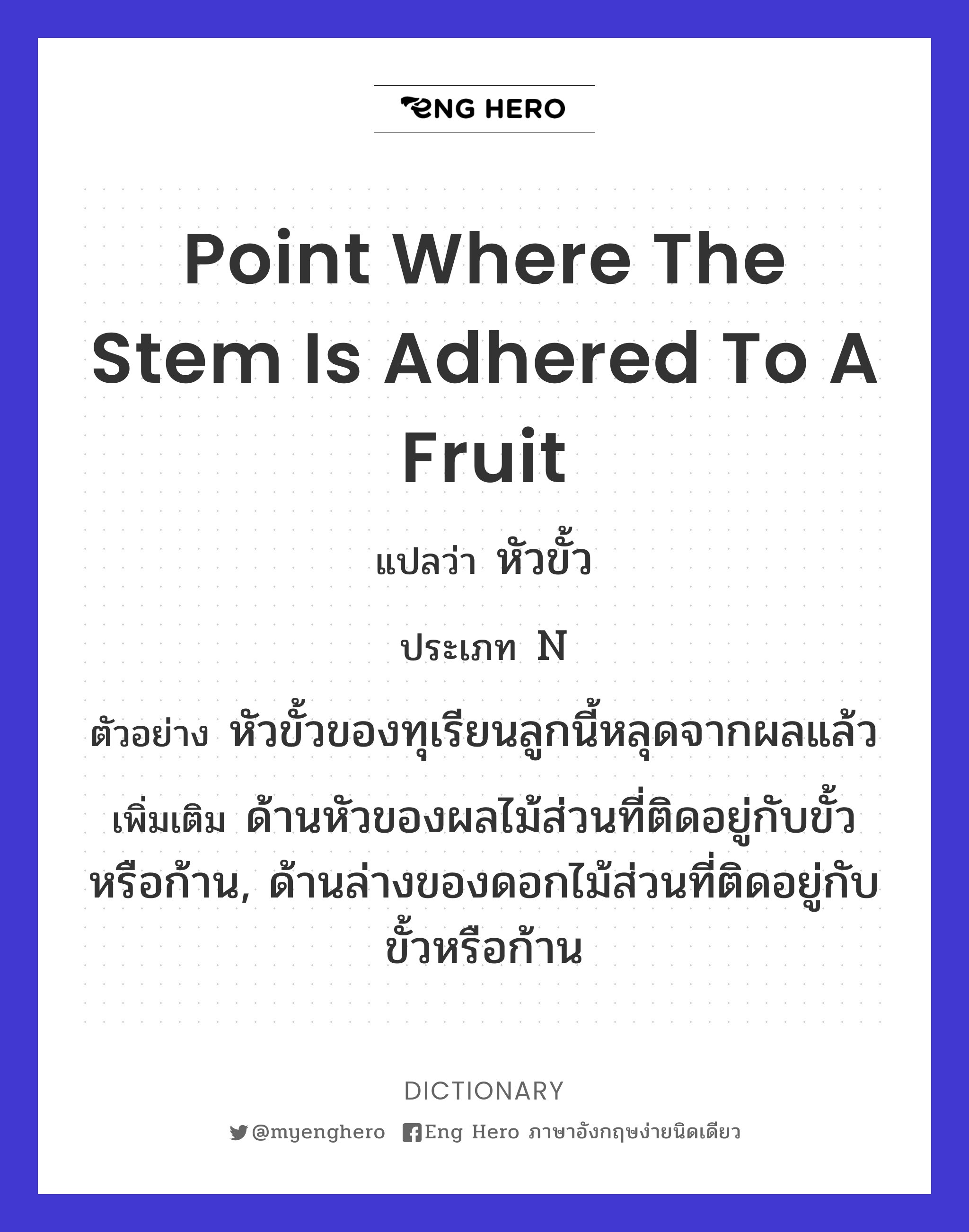 point where the stem is adhered to a fruit