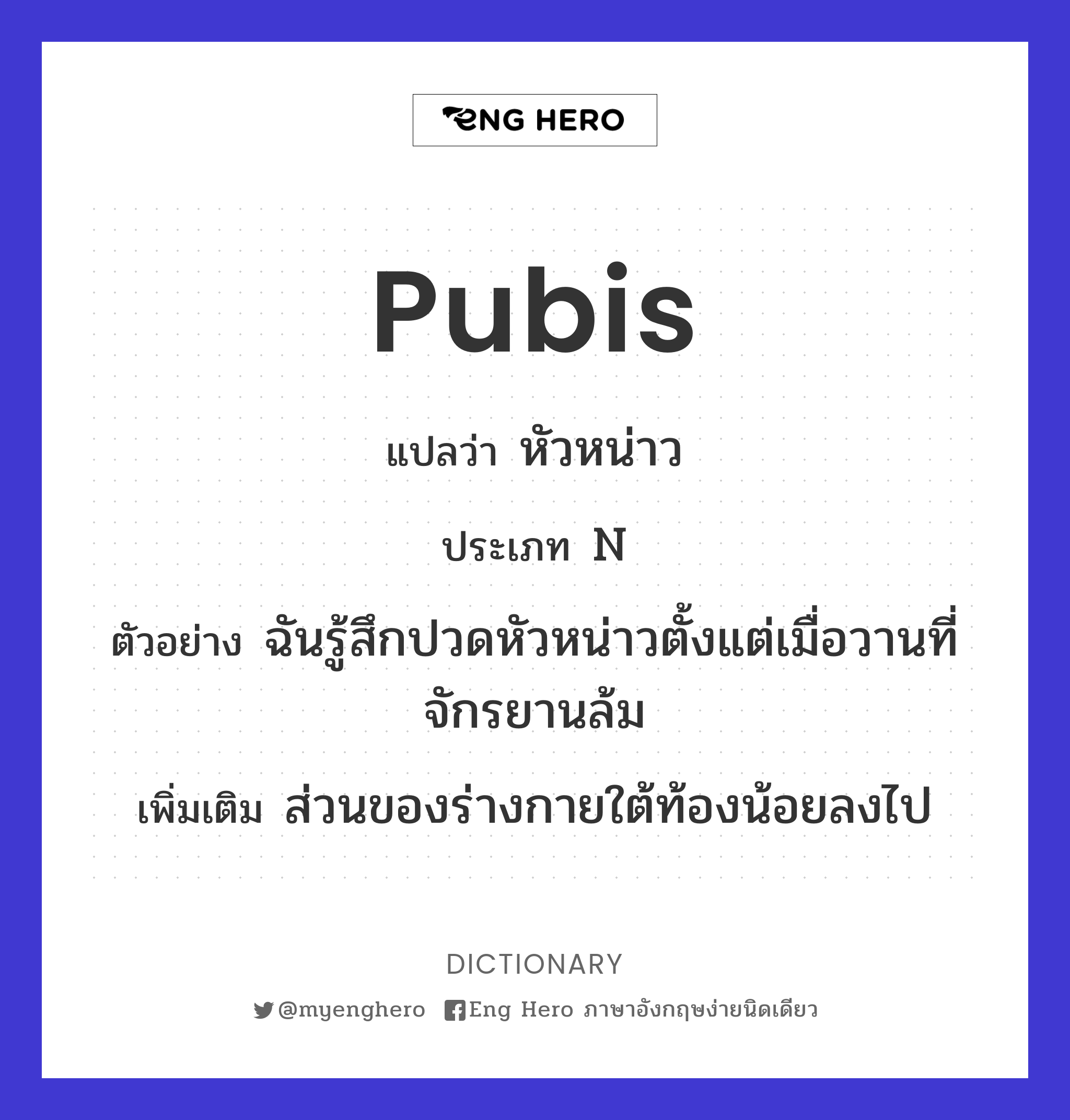 pubis