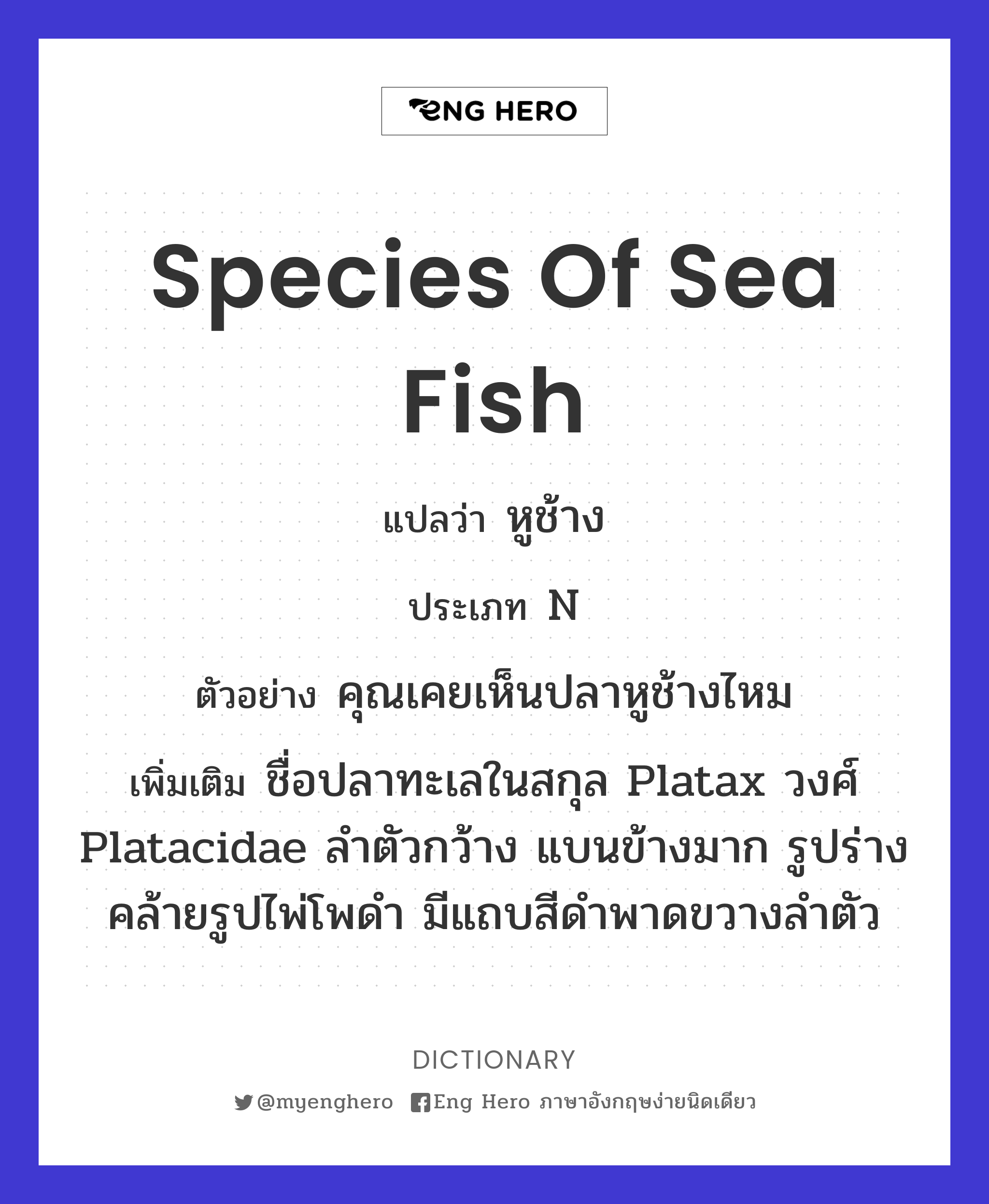 species of sea fish