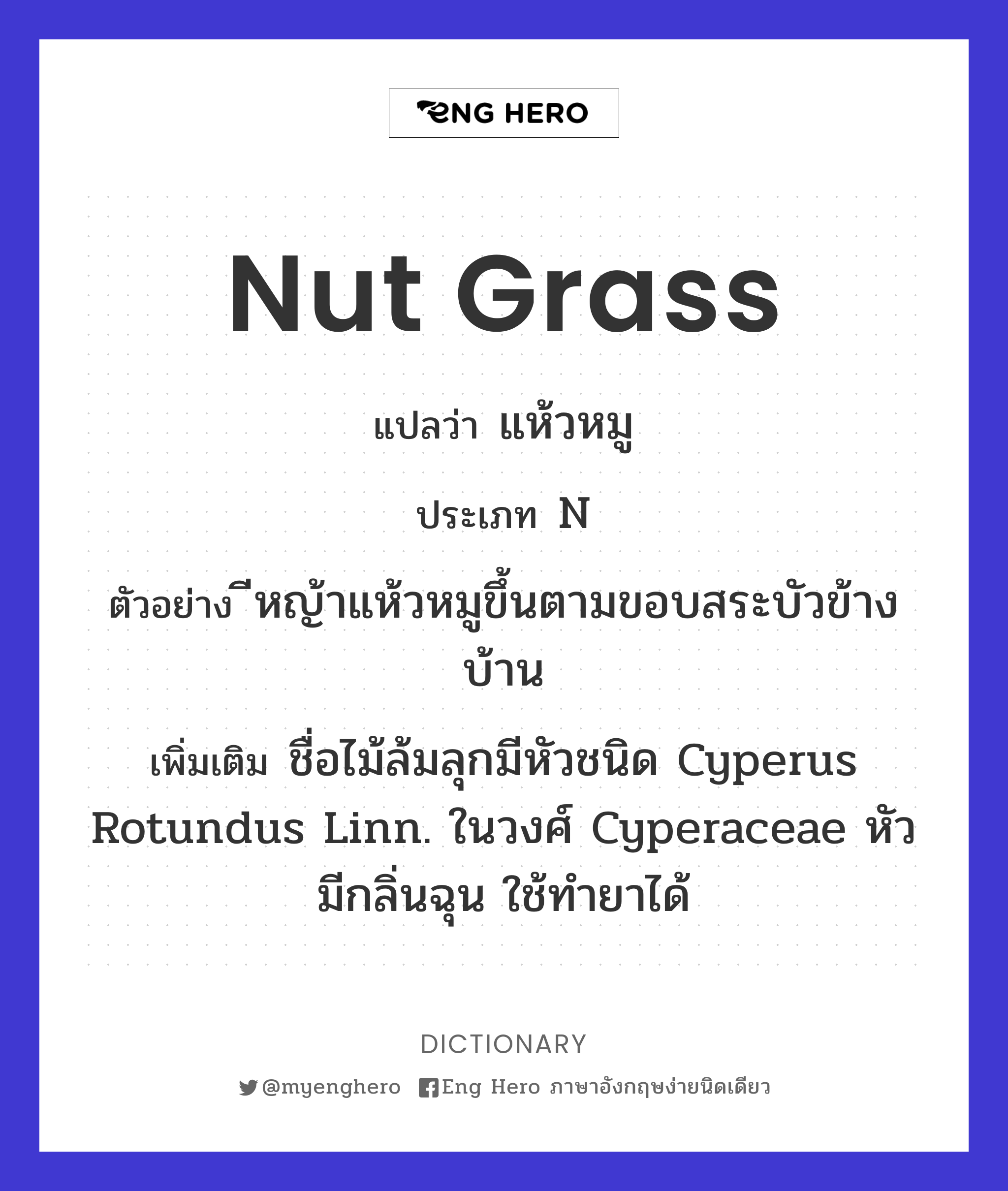 nut grass