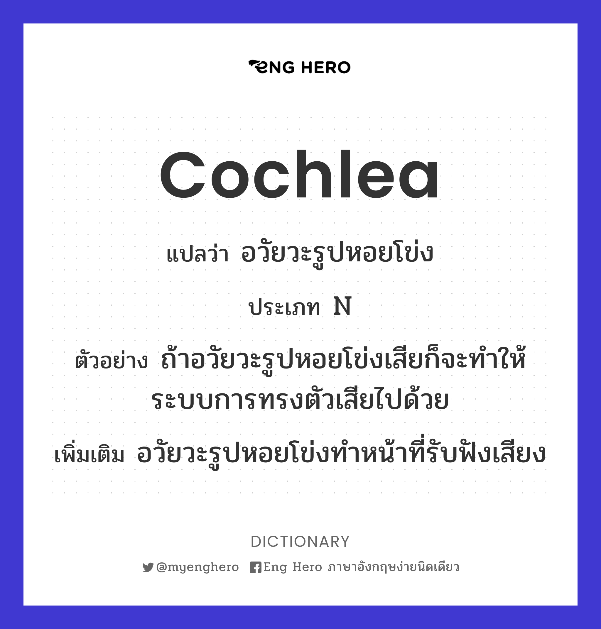 cochlea