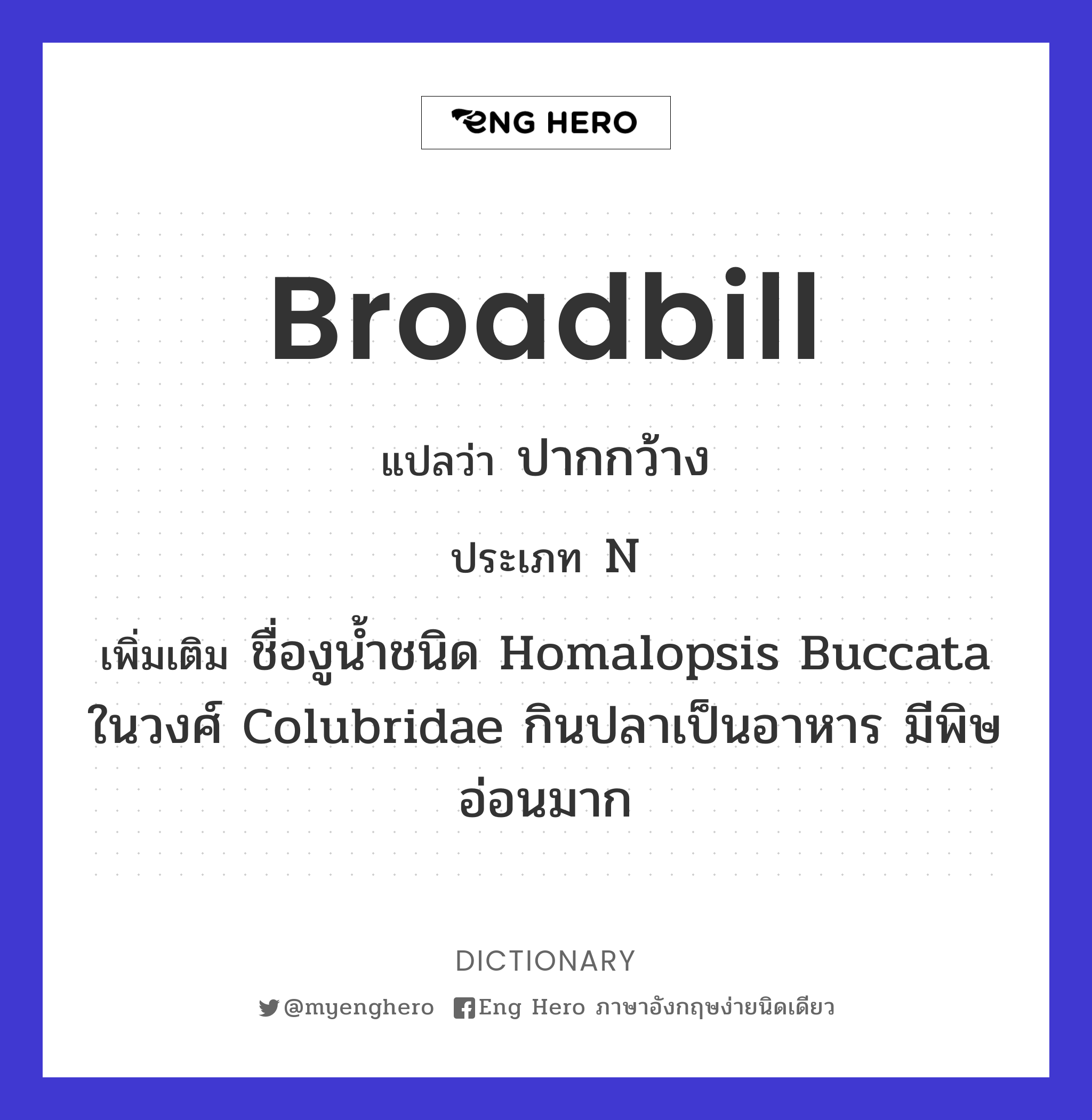 broadbill