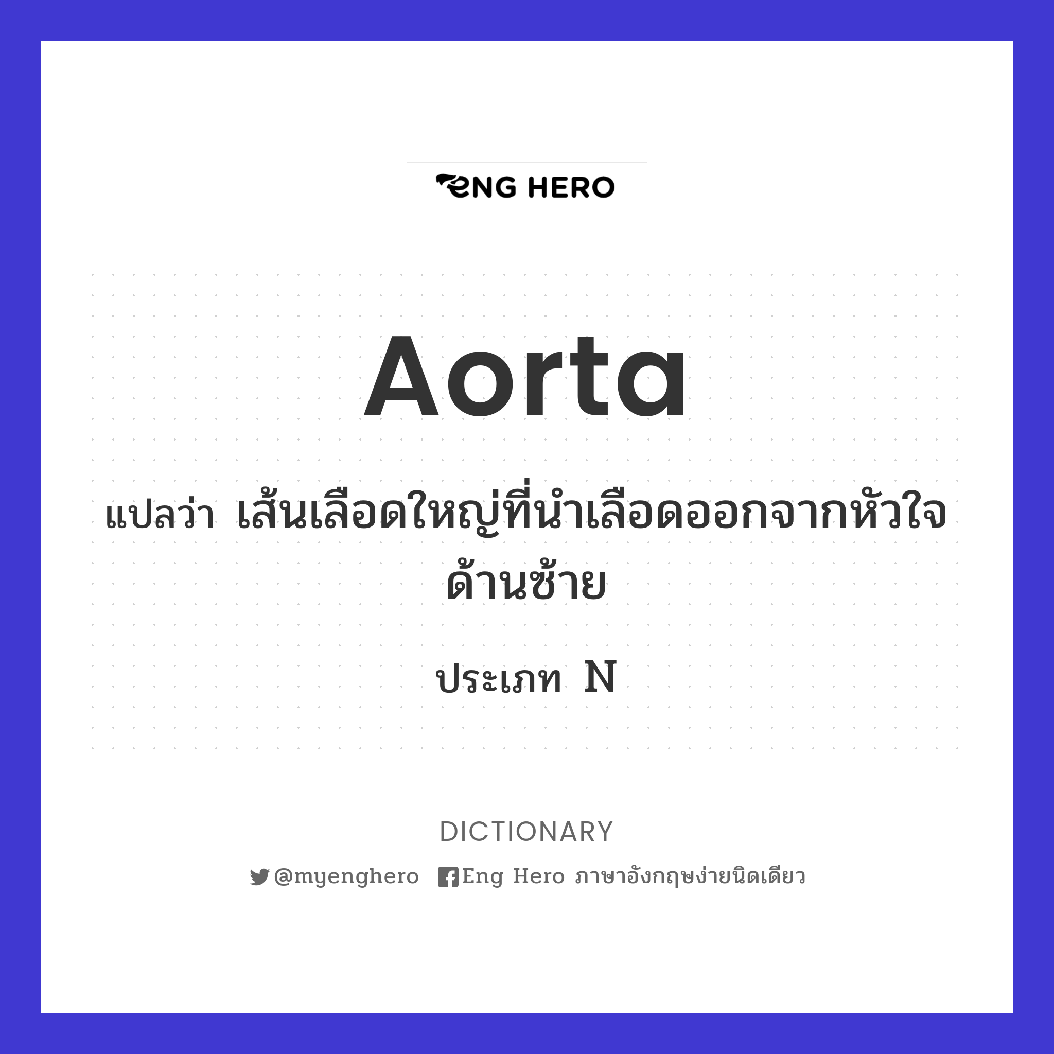 aorta